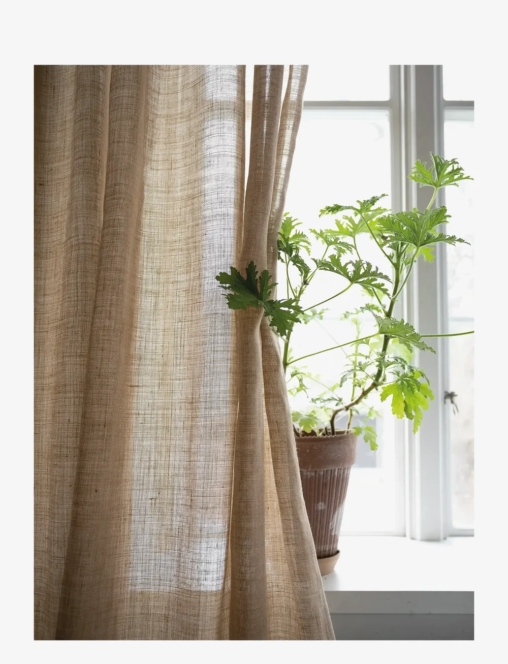Mimou - Curtain Ellie Double width - köp efter pris - straw - 2