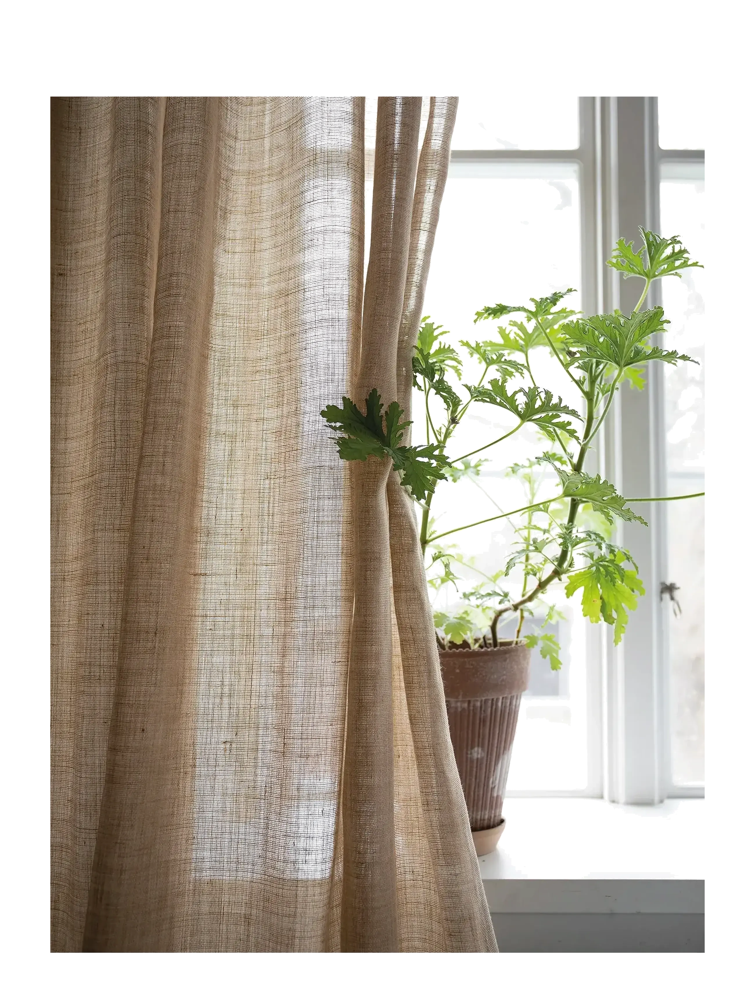 Mimou - Curtain Ellie double width - gardinlængde - straw - 2