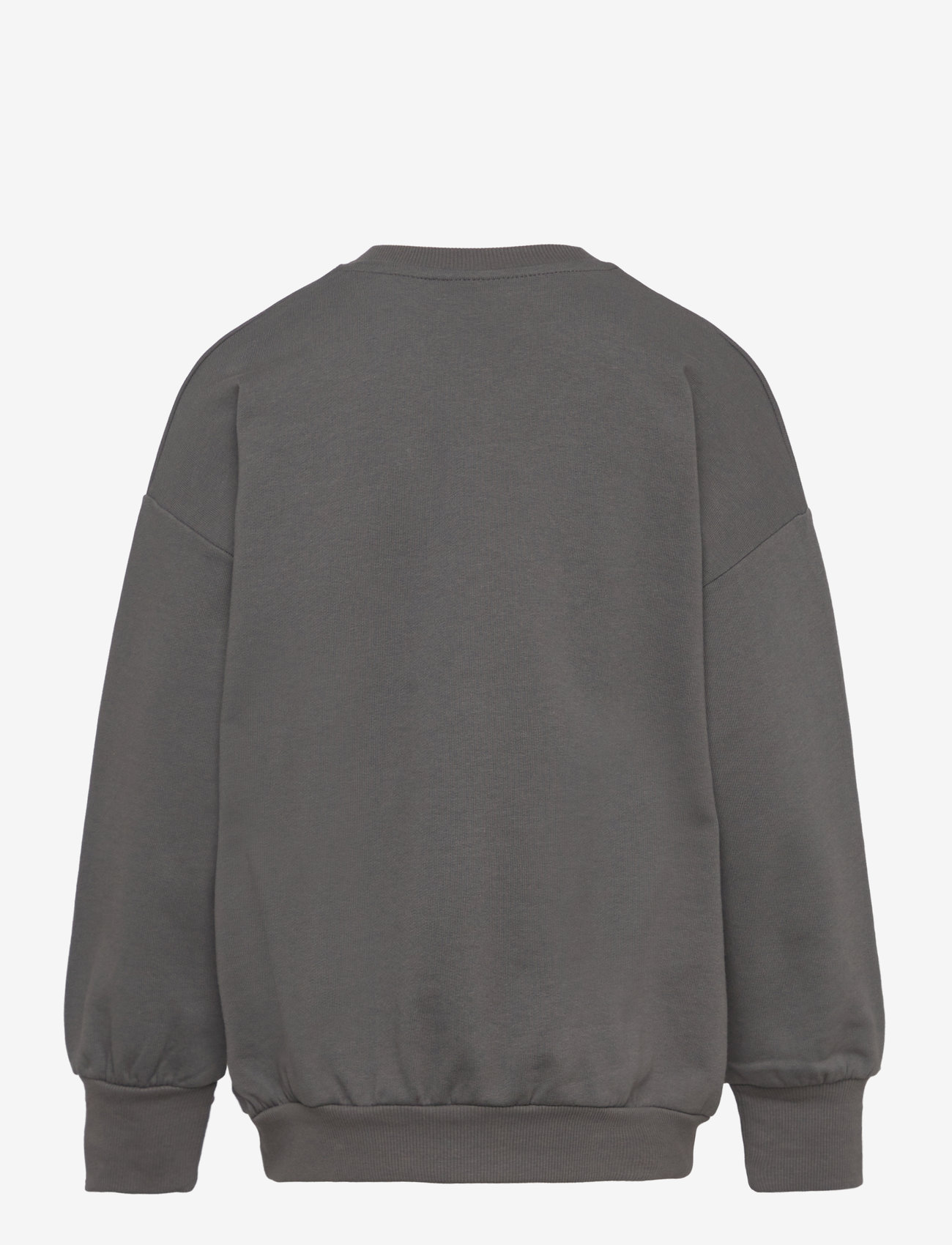 Mini Rodini - Pigeons sp sweatshirt - grey - 1