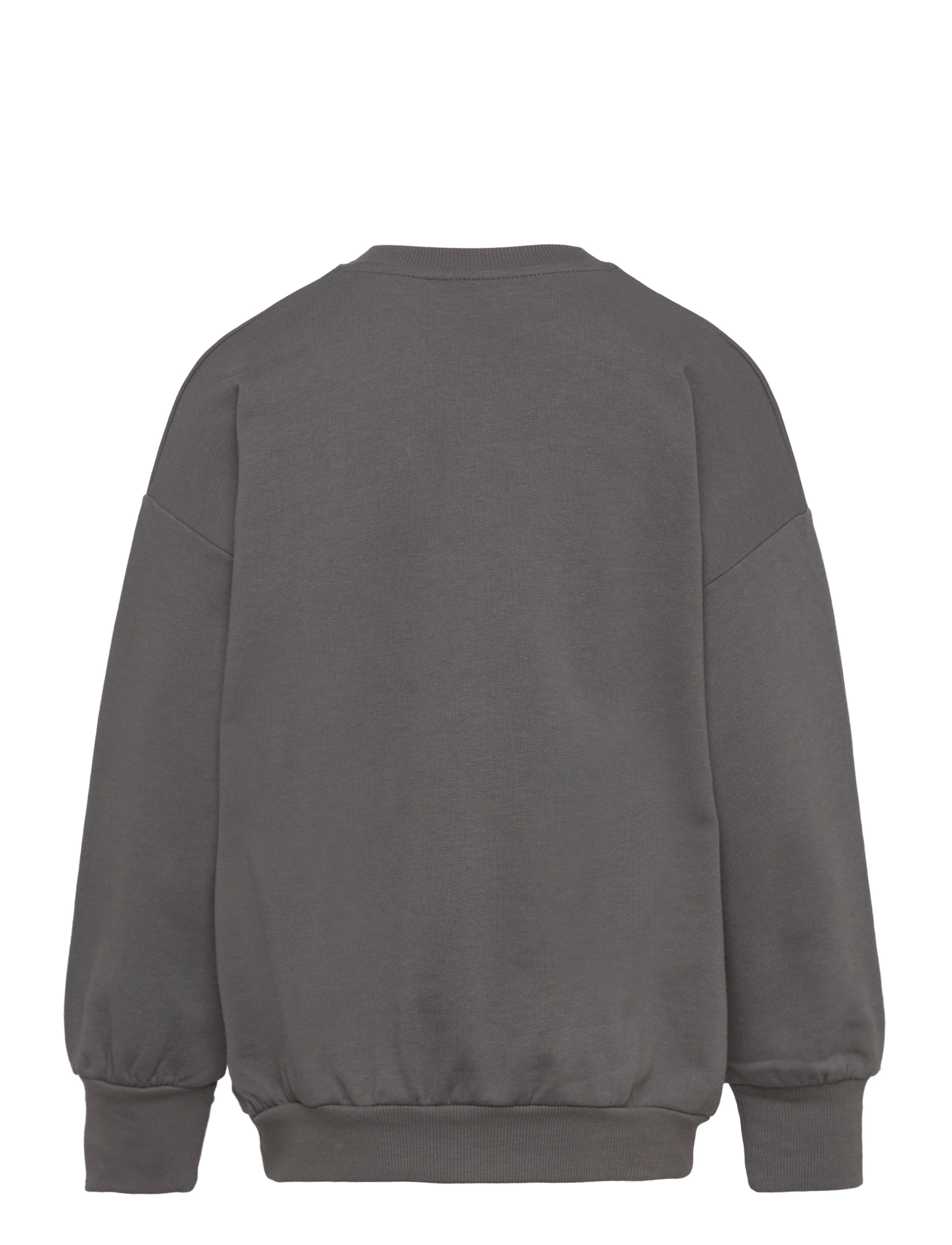 Mini Rodini - Pigeons sp sweatshirt - grey - 1