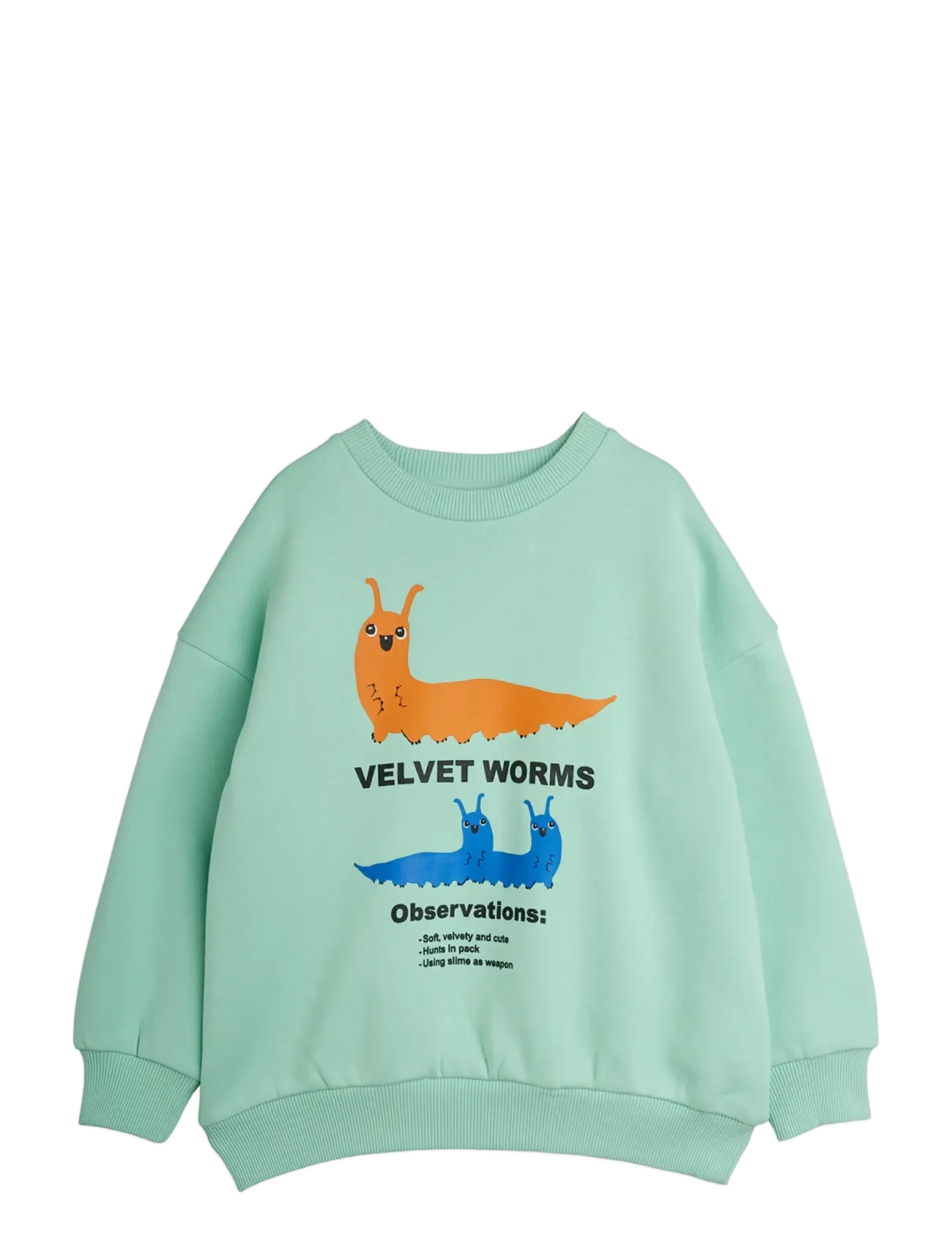 Mini Rodini Velvet Worms Observations Sp Sweatshirt, 92/98, Sweatshirts & Hoodies, Grün - Sweatshirts, Kinder