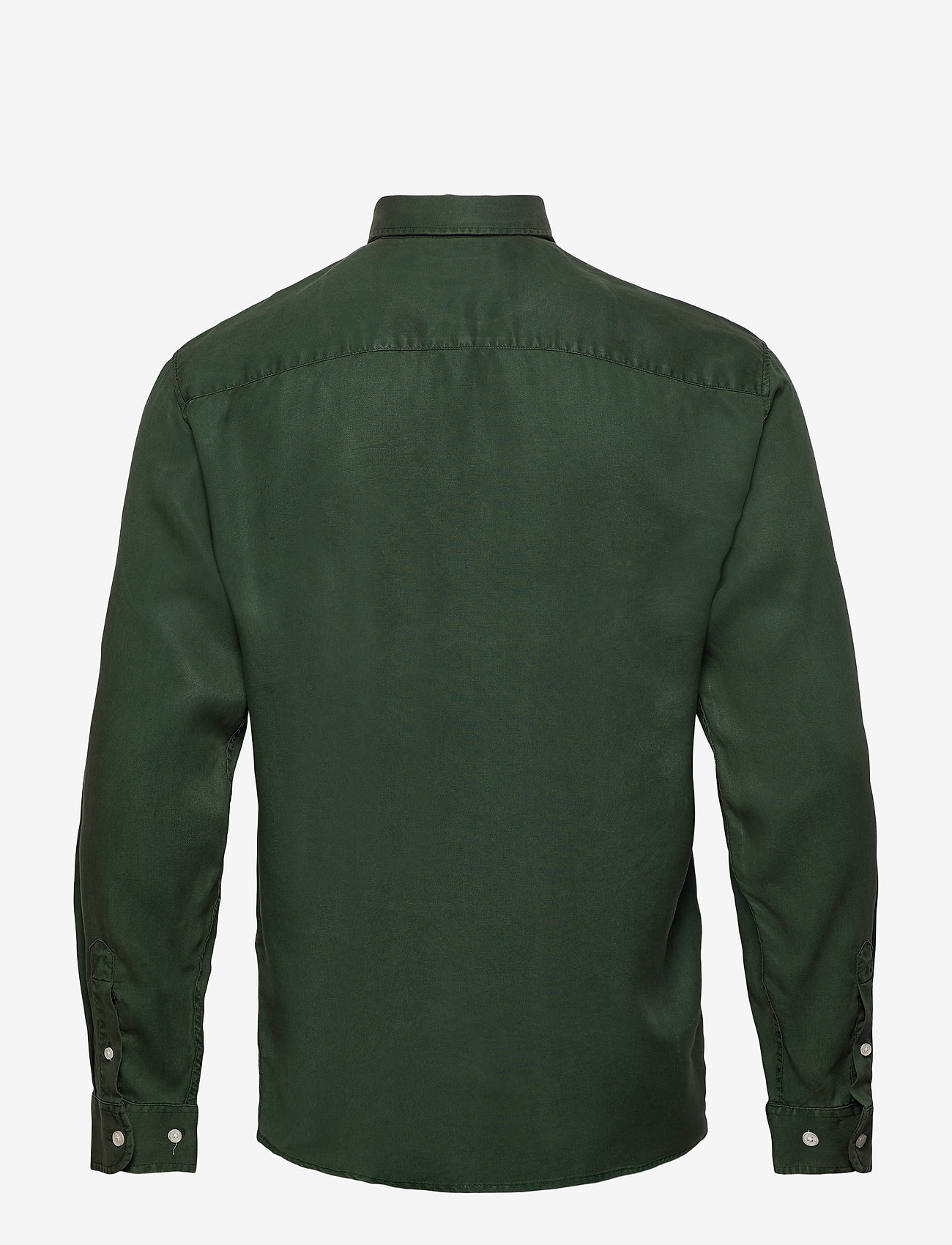 Minimum - walther - climbing ivy - 1