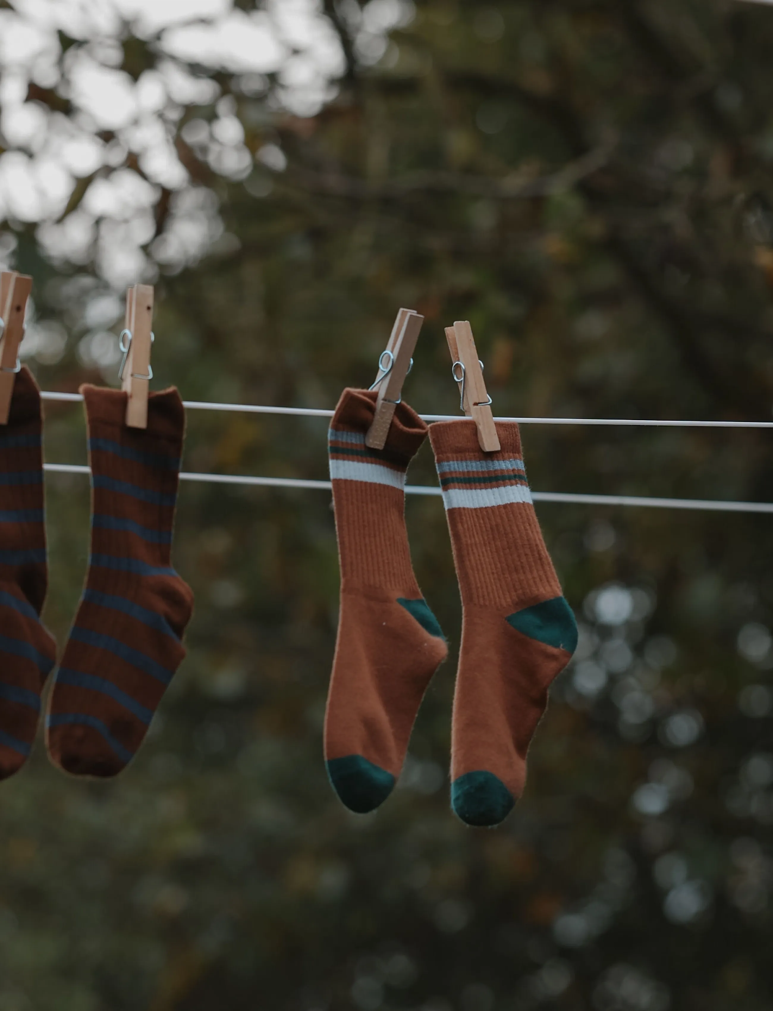 minipop - MPopMarg Bamboo Sock - baby-socken - chestnut - 3