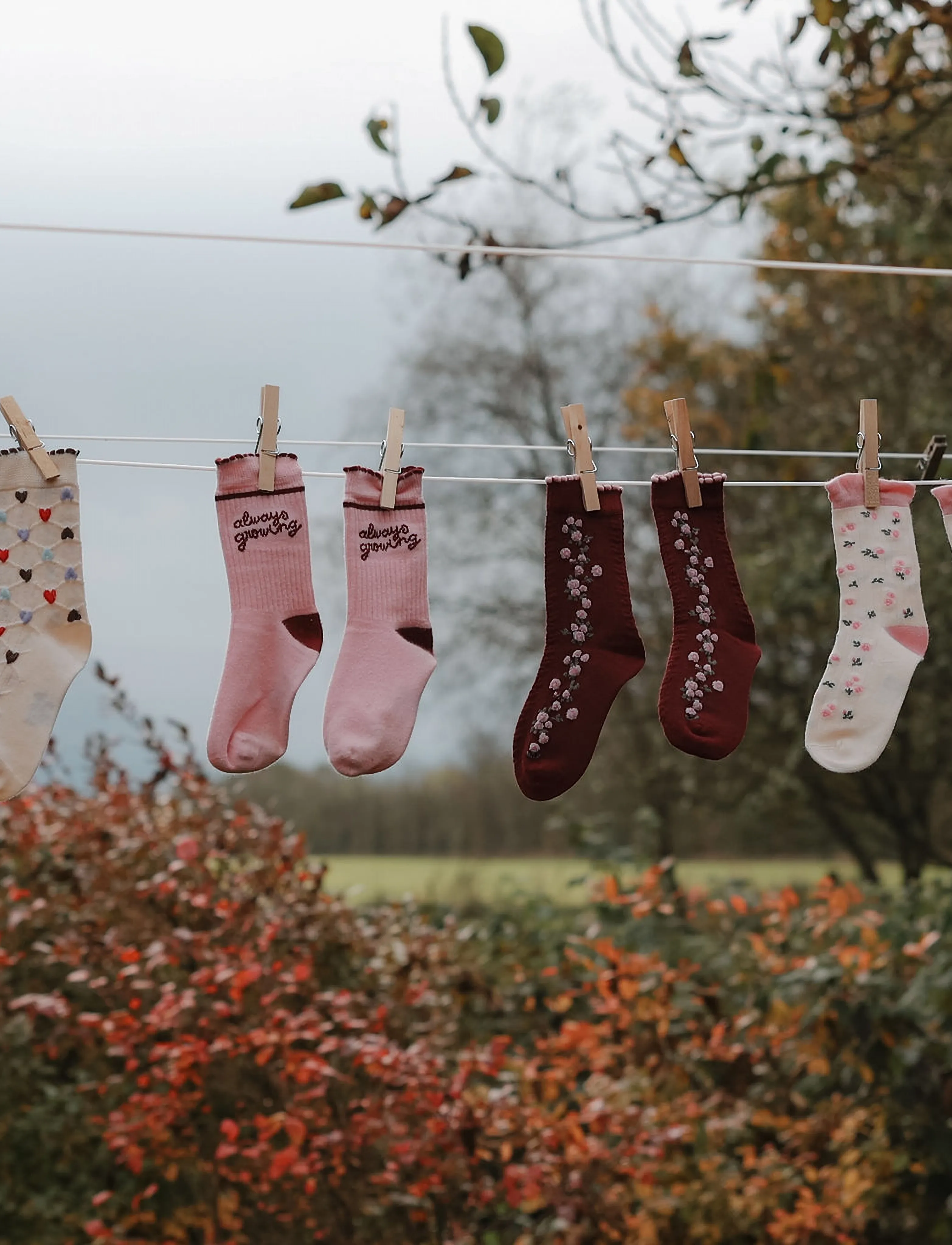 minipop - MPopMarli Bamboo Sock - baby-socken - bridal rose - 3