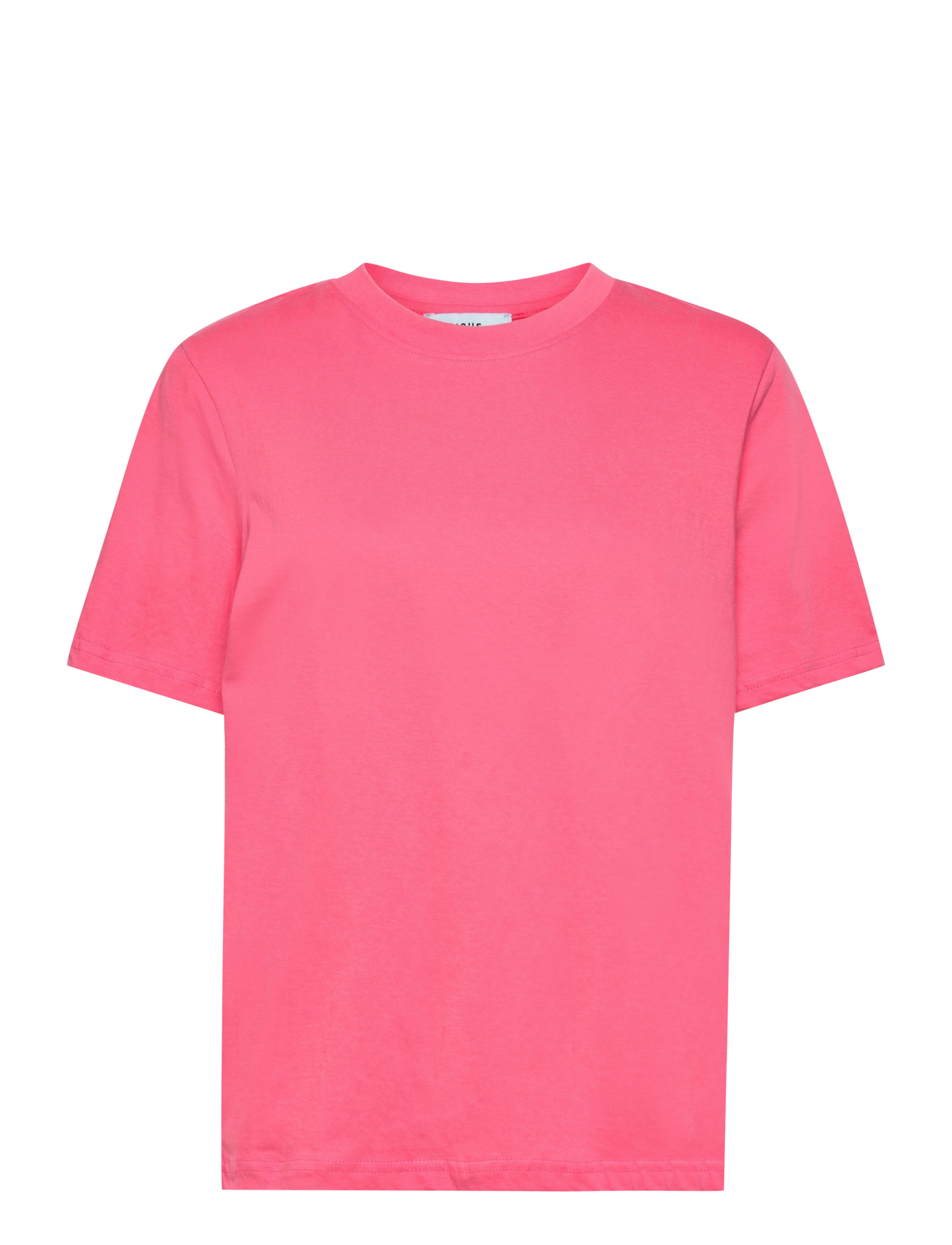 PINK FLAMINGO