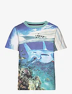 T-shirt SS AOP - REFF WATERS