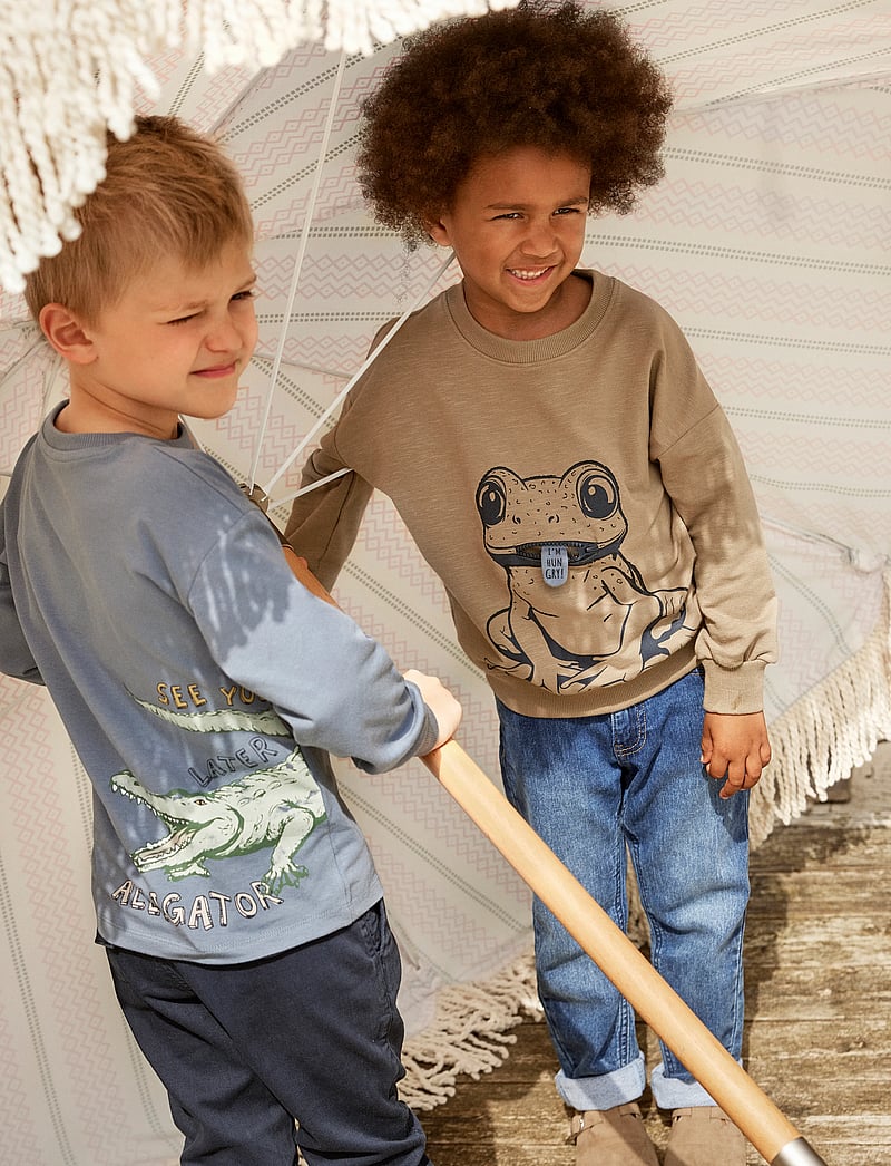 Minymo - T-shirt LS - pikkade varrukatega - flint stone - 2