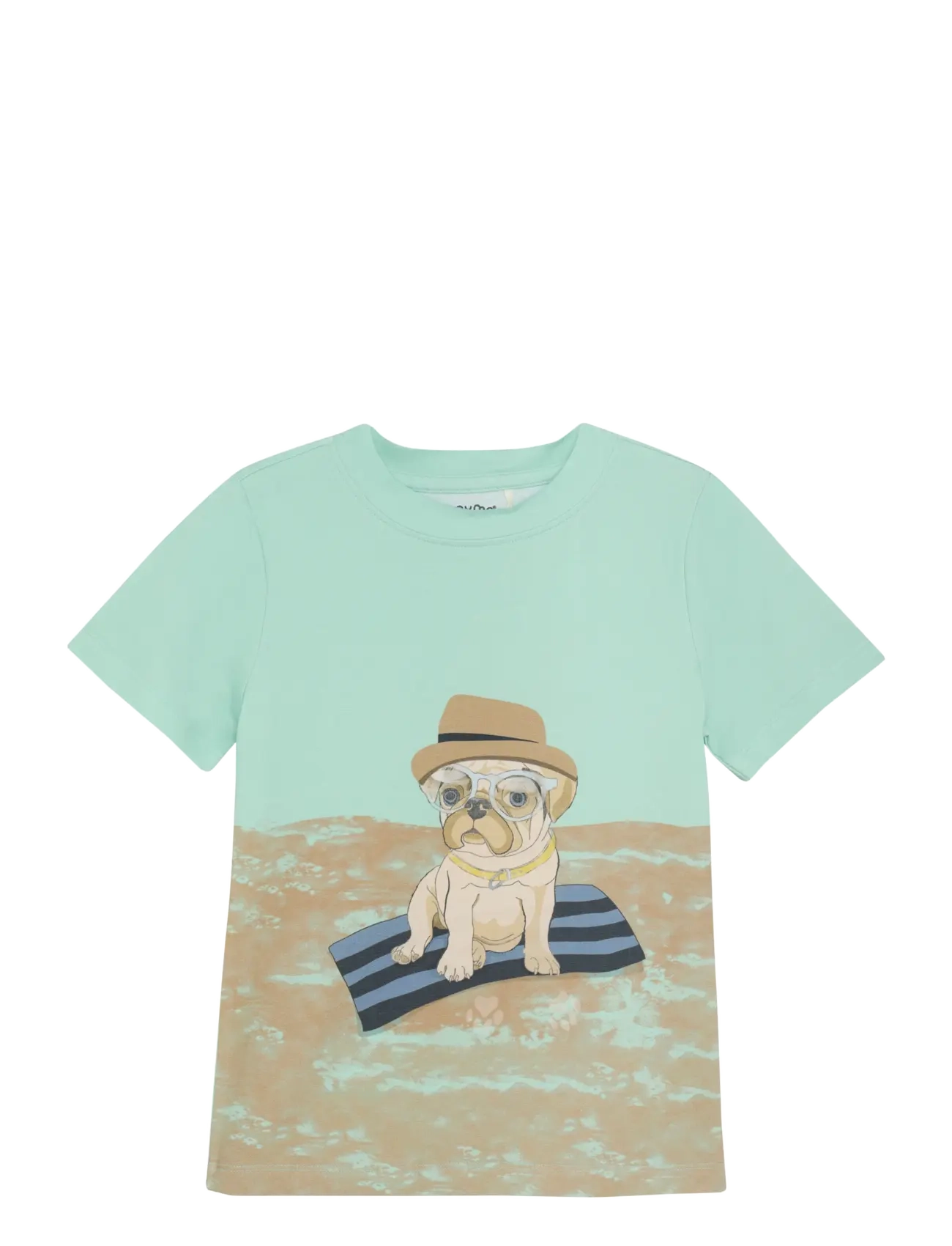 Minymo T-shirt SS - 4 for 3 - YUCCA TURQUISE / green