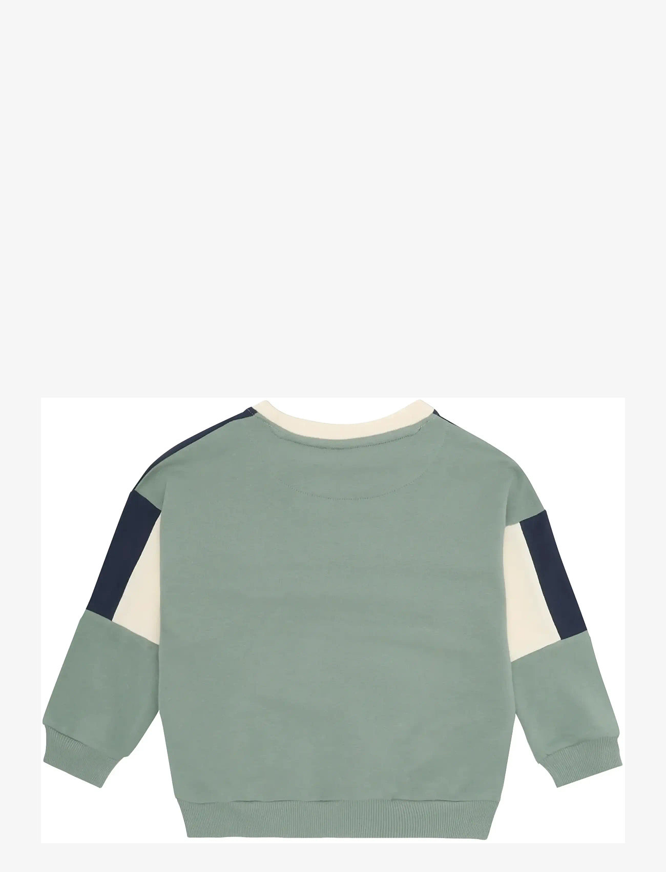 Minymo - Sweatshirt LS - dressipluusid - lily pad - 1