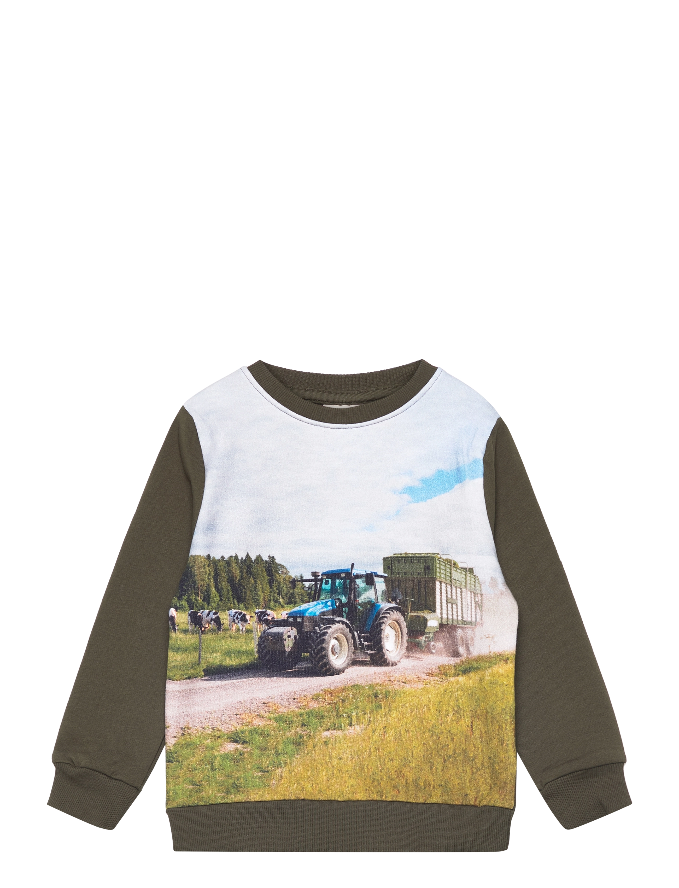 Sweatshirt LS - FOREST NIGHT