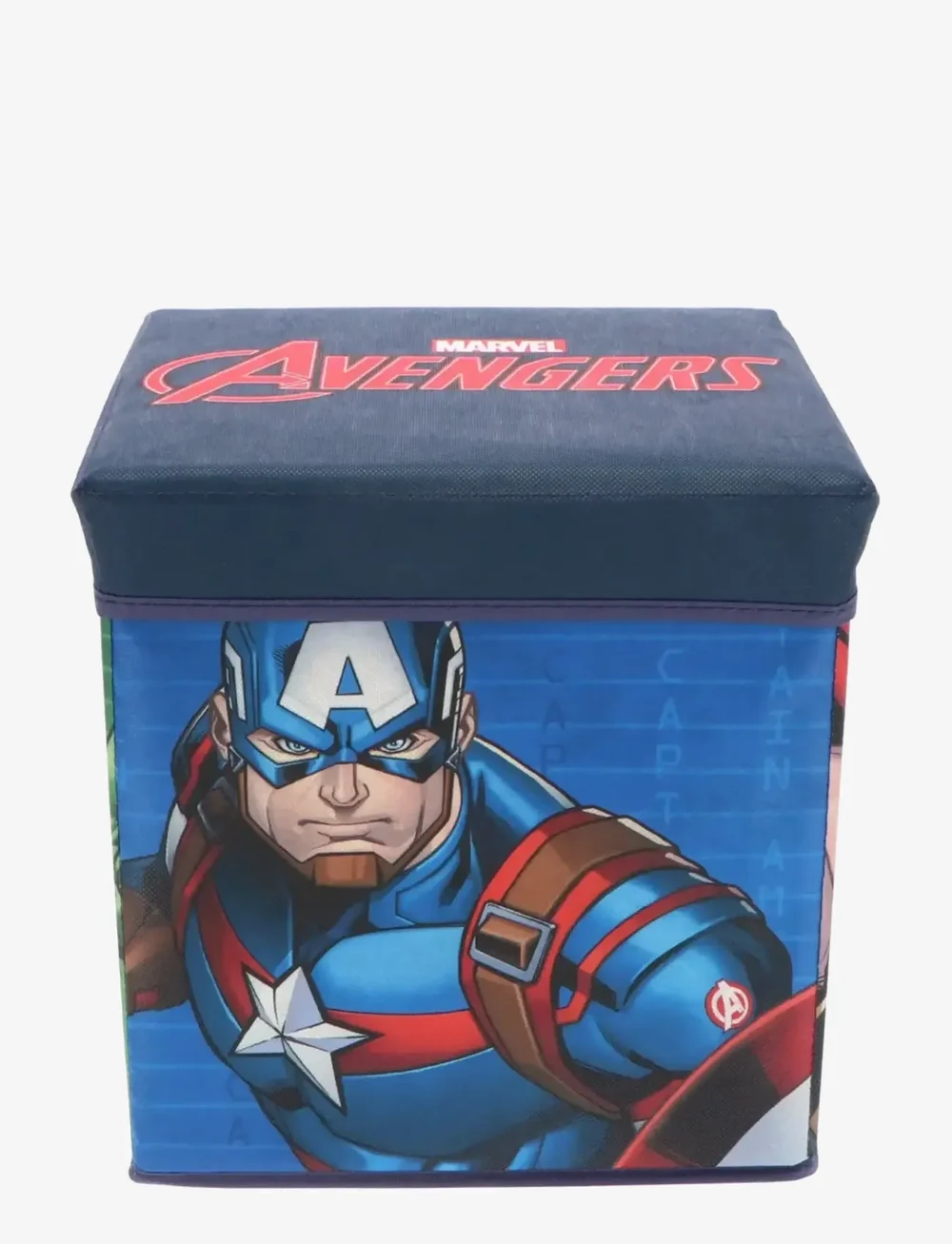 Mister License - STORAGE BOX - boîtes de rangement - multi-color - 0