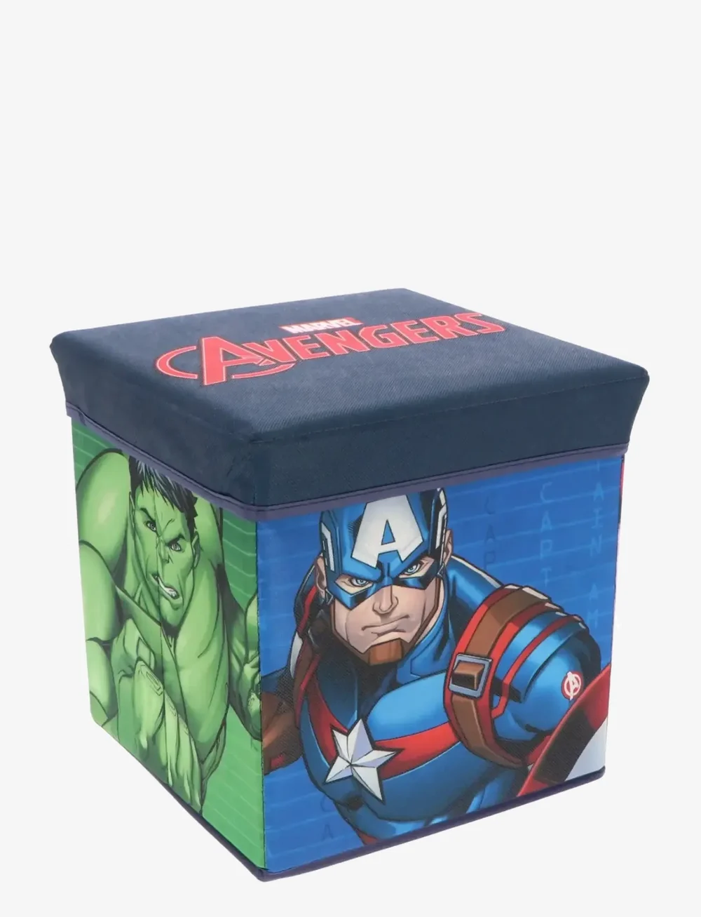 Mister License - STORAGE BOX - boîtes de rangement - multi-color - 1