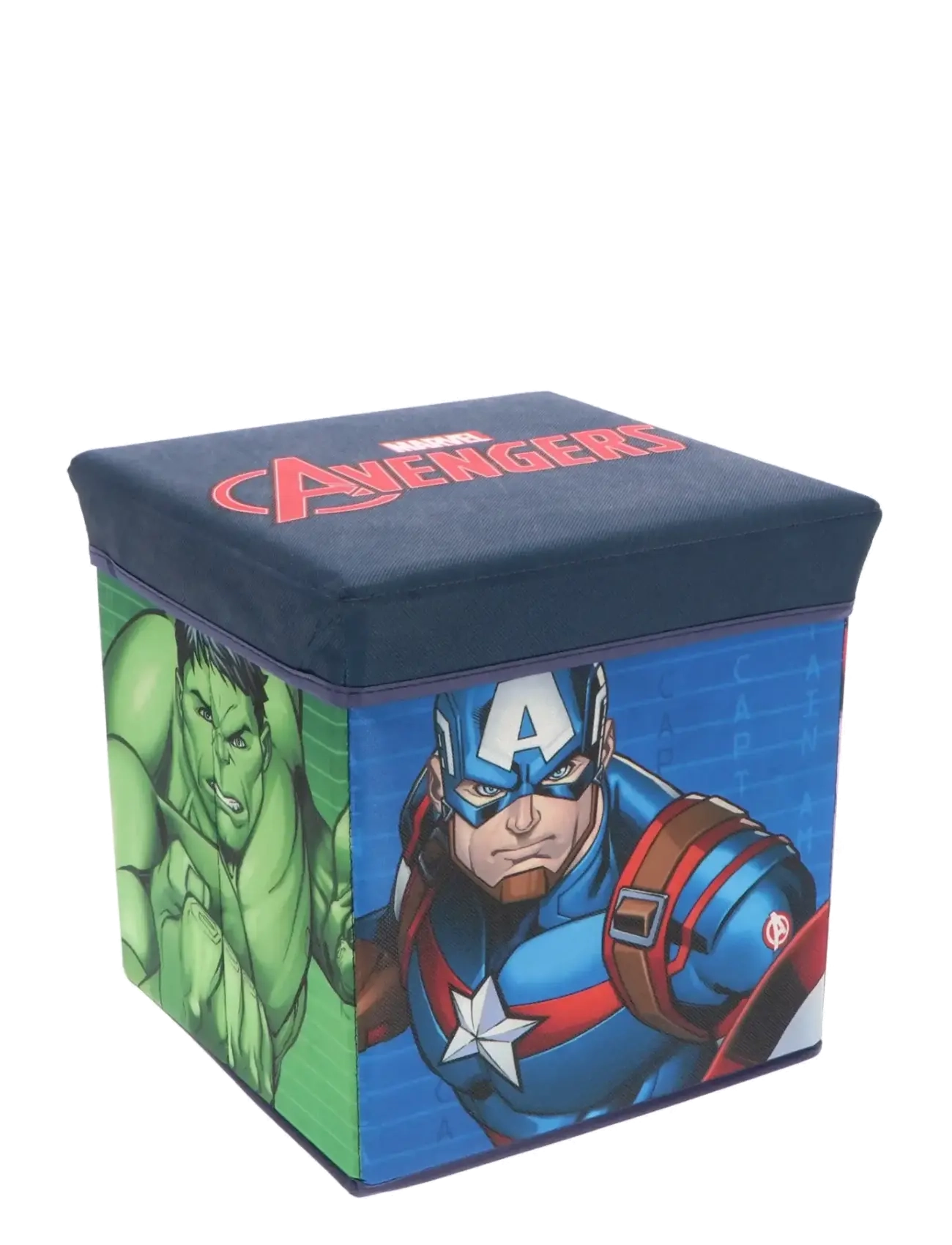 Mister License - STORAGE BOX - boîtes de rangement - multi-color - 1