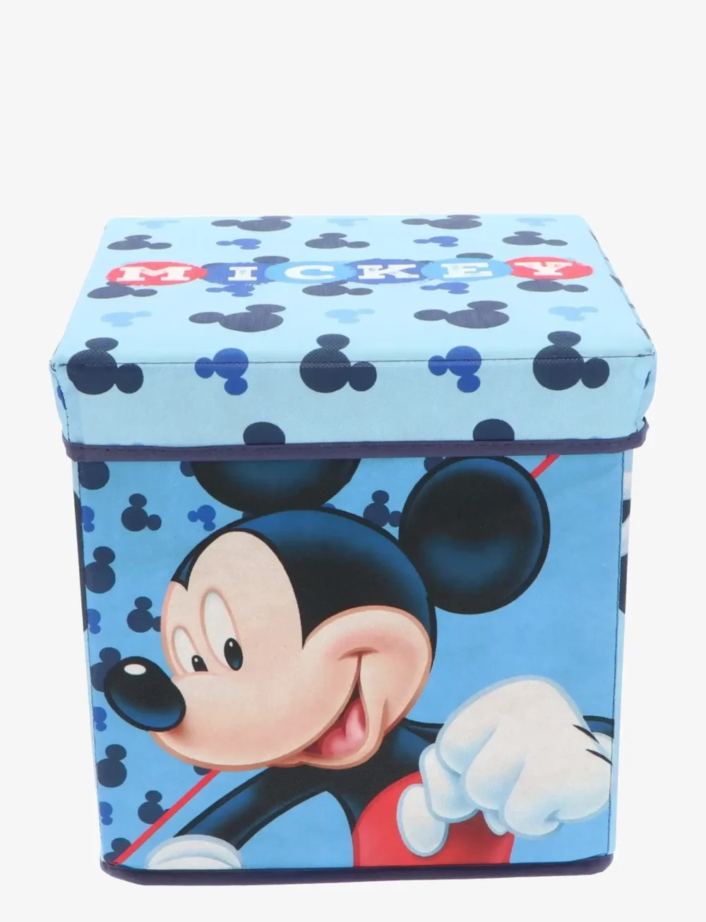 Mister License - STORAGE BOX - aufbewahrungsboxen - multi-color - 0