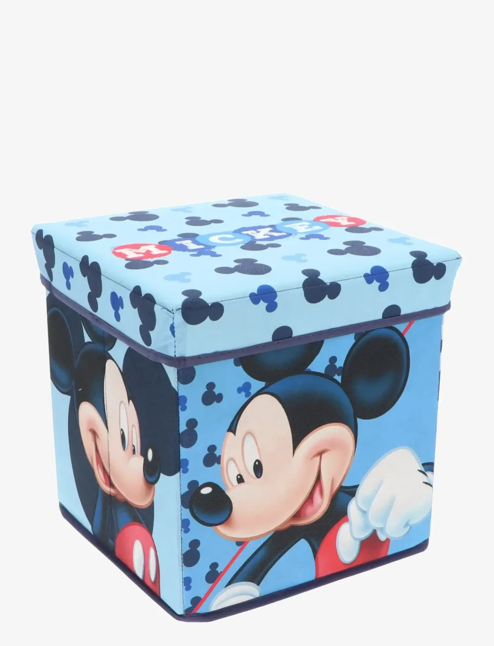 Mister License - STORAGE BOX - aufbewahrungsboxen - multi-color - 1