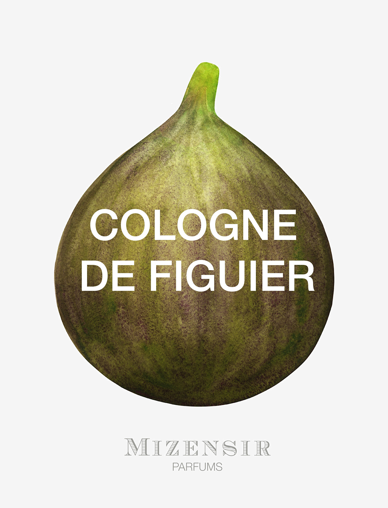 Mizensir - COLOGNE DE FIGUIER 100ML EDP SPRAY - miehille  - clear - 4