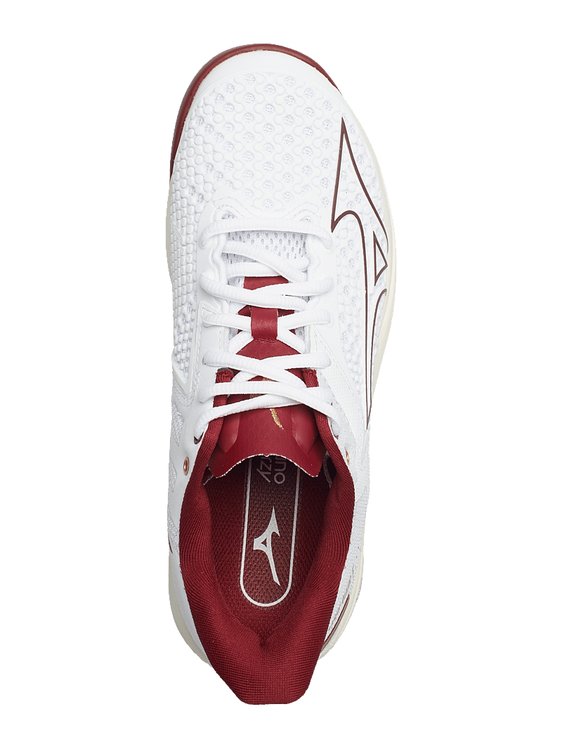 Mizuno skate shoes sales