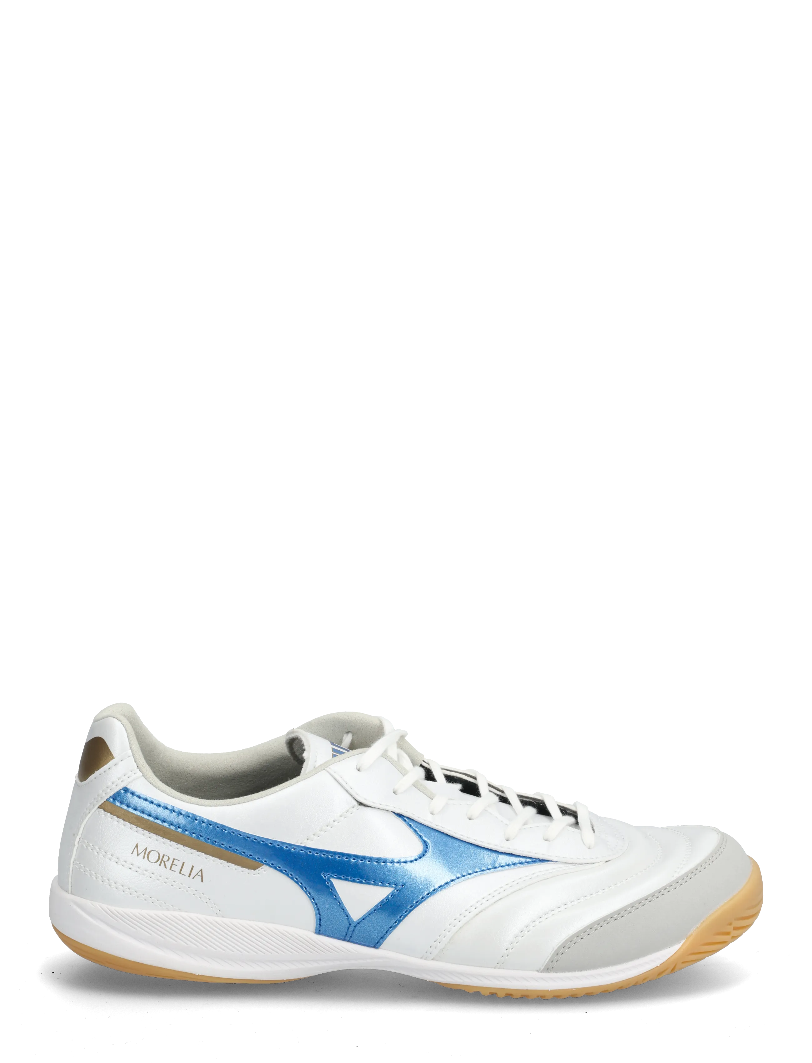 Morelia Sala Pro In 2