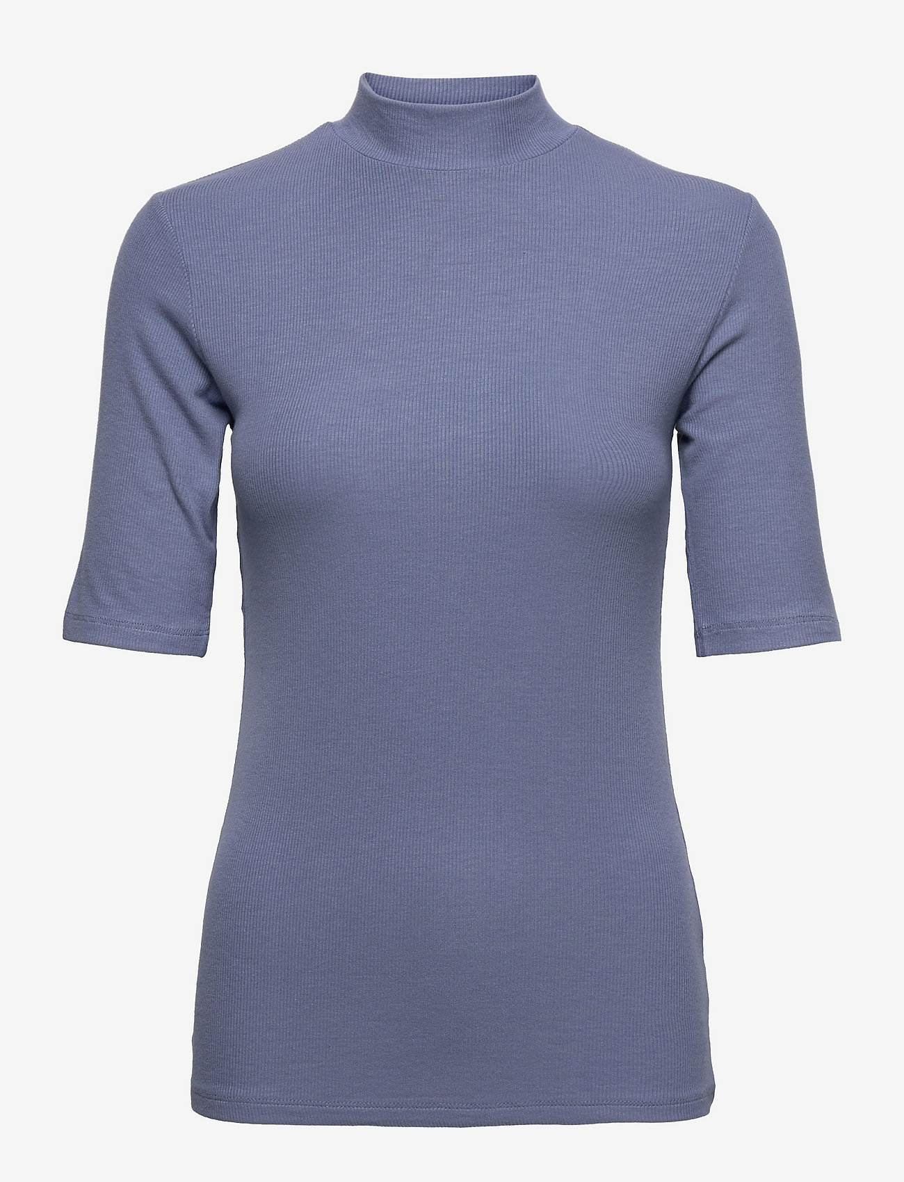BLUE MIST