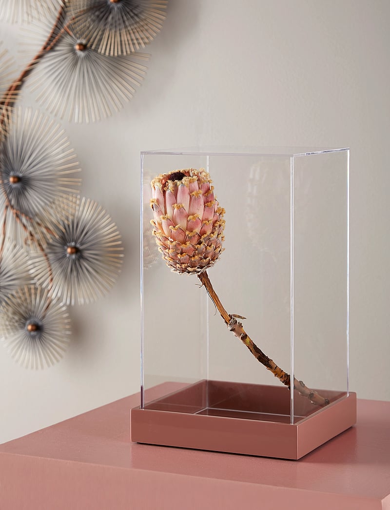 Mojoo - Lux Lacquer Tray - madalaimad hinnad - powder rose - 2