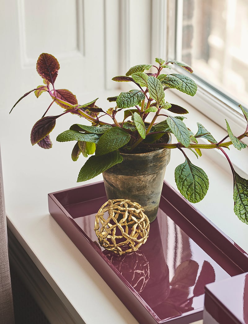 Mojoo - Lux Lacquer Tray - achat par prix - warm grey - 0