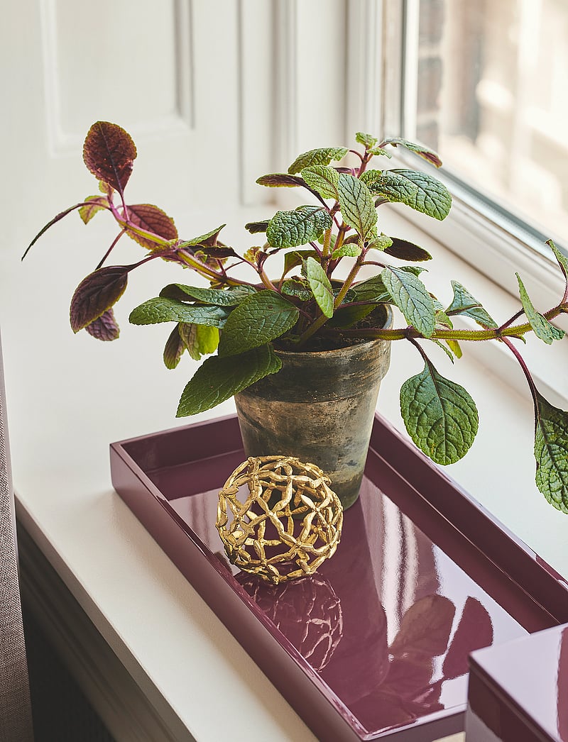 Mojoo - Lux Lacquer Box - holzkästen - burgundy - 4