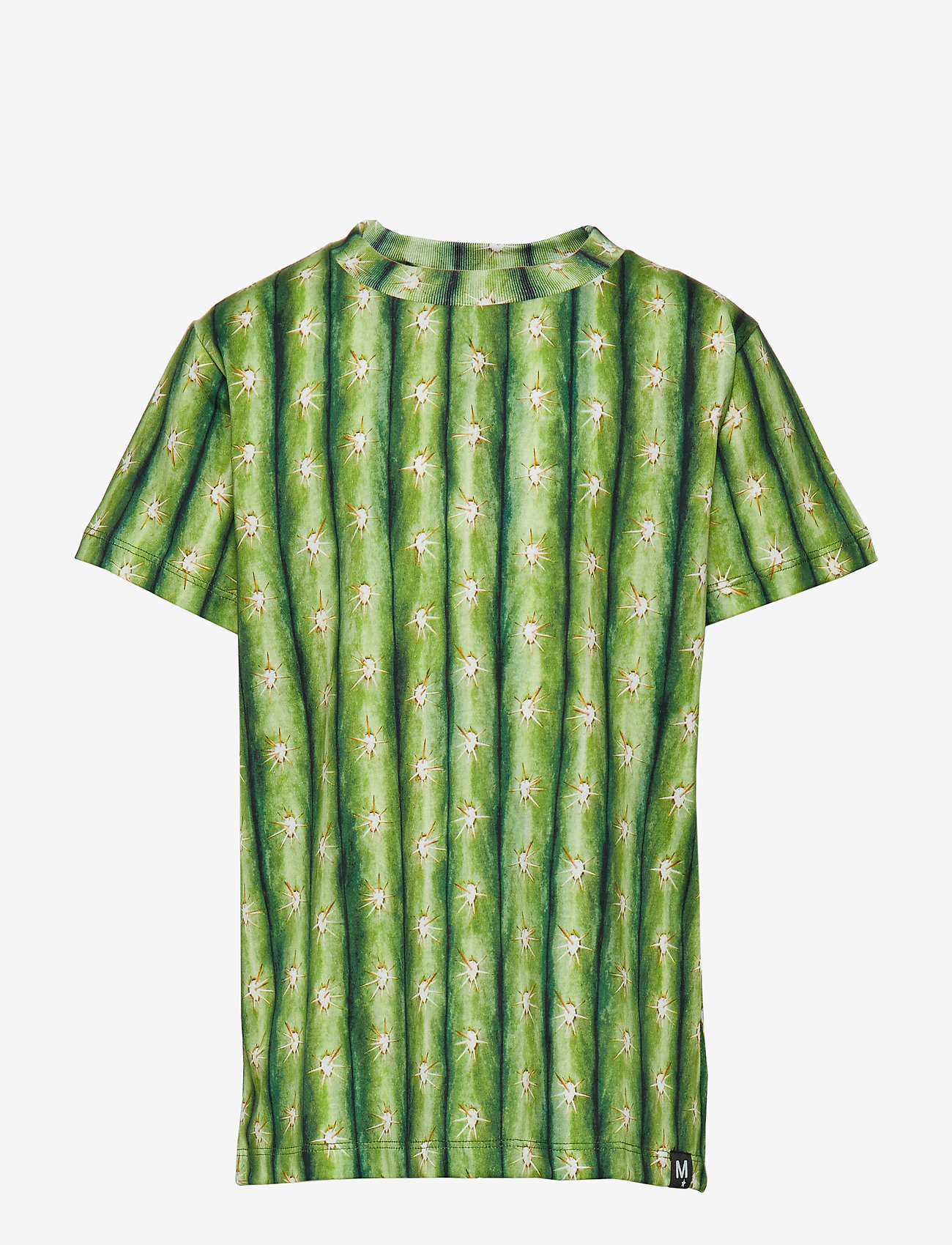 Molo - Raymont - cactus - 0