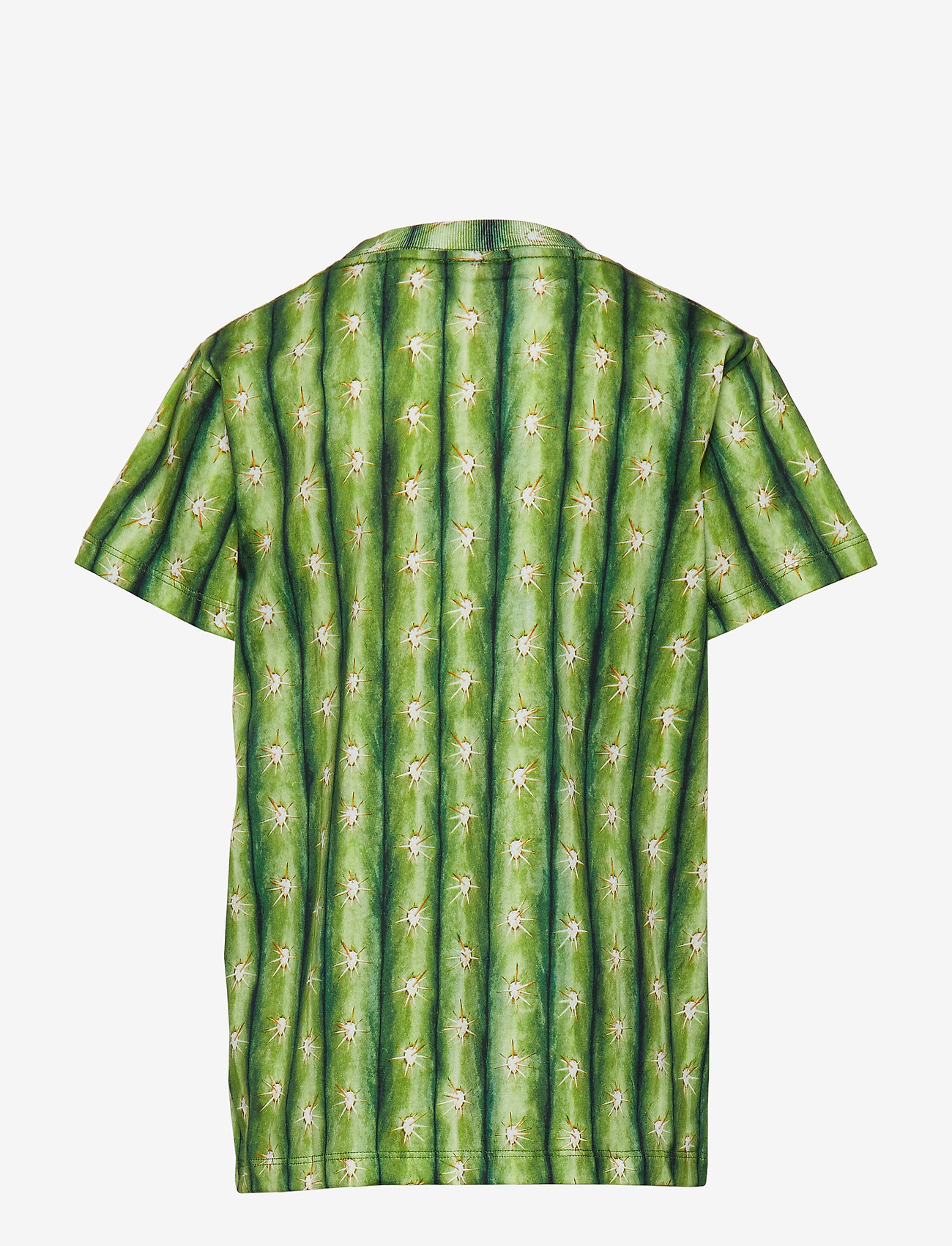 Molo - Raymont - cactus - 1