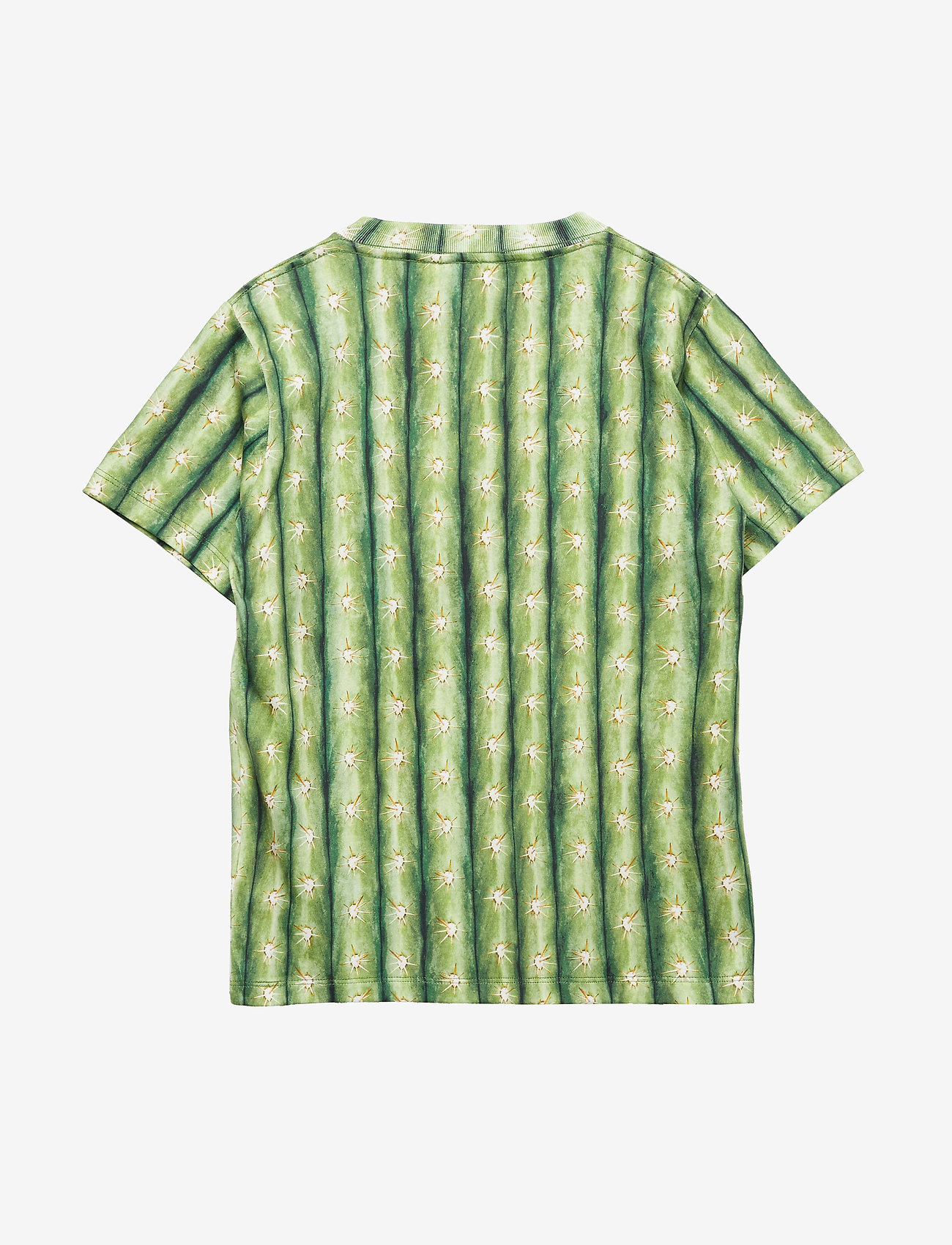 Molo - Raymont - cactus - 2