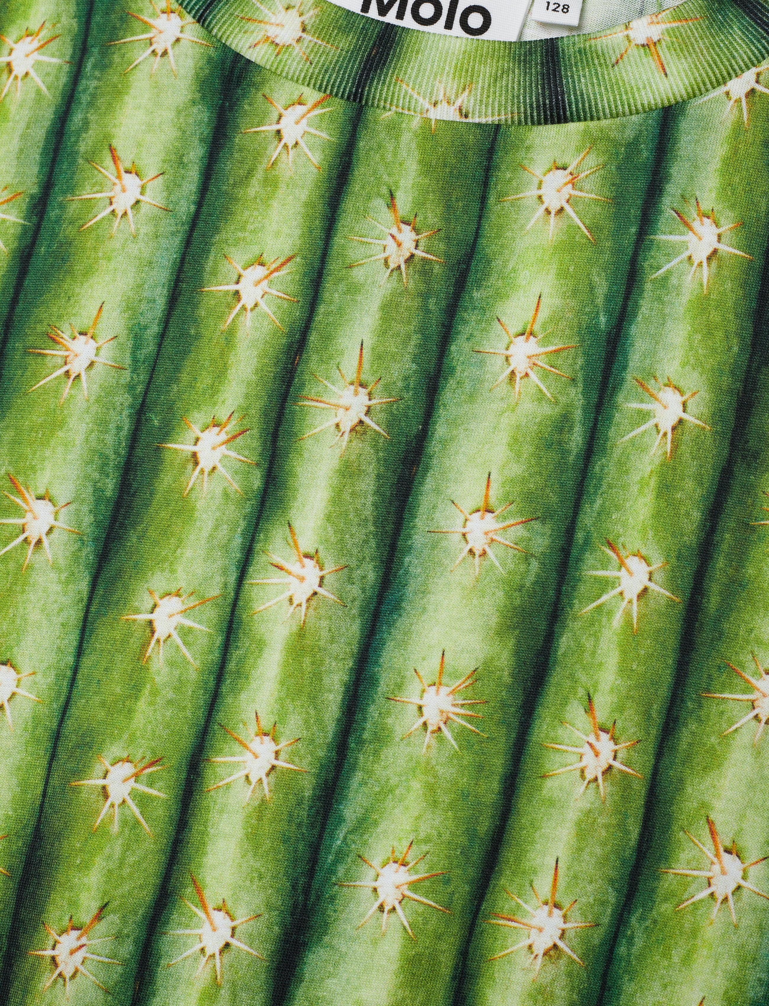 Molo - Raymont - cactus - 3