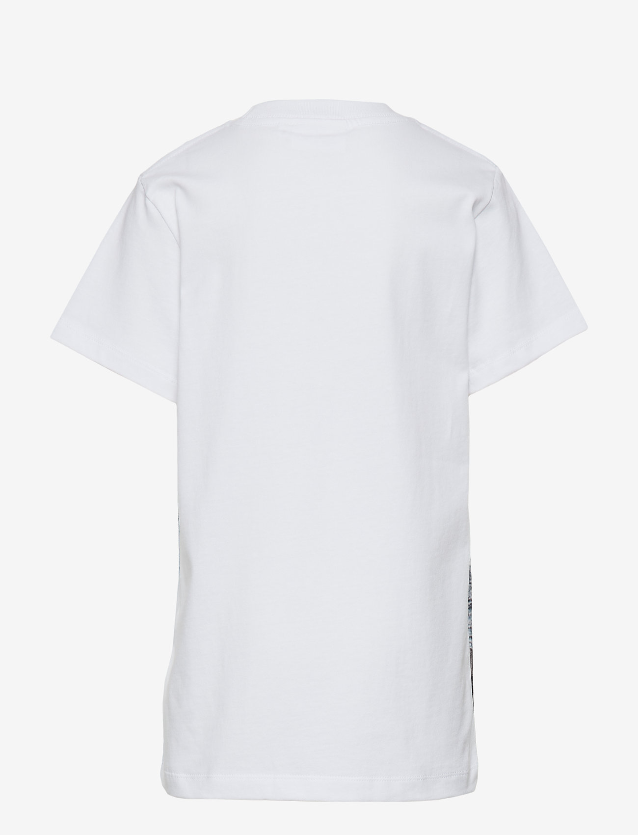 Molo - Road - cable park - 1