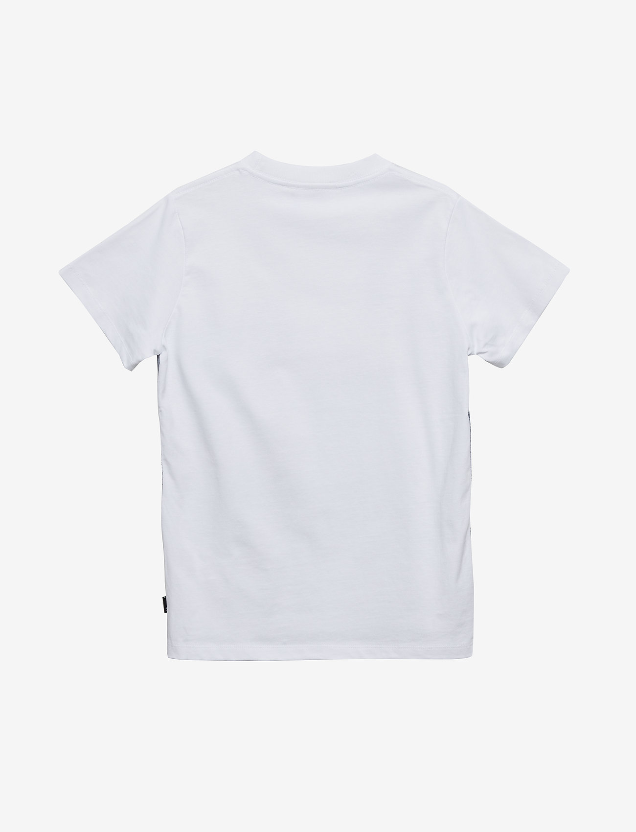 Molo - Road - cable park - 2