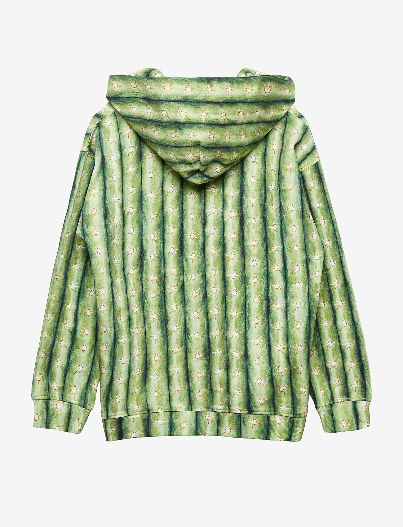 Molo - Mino - cactus - 2