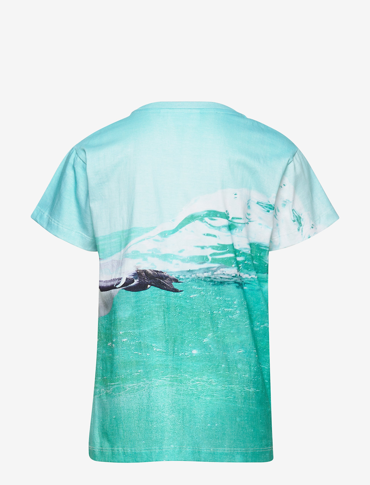 Molo - Raul - the penguin - 1