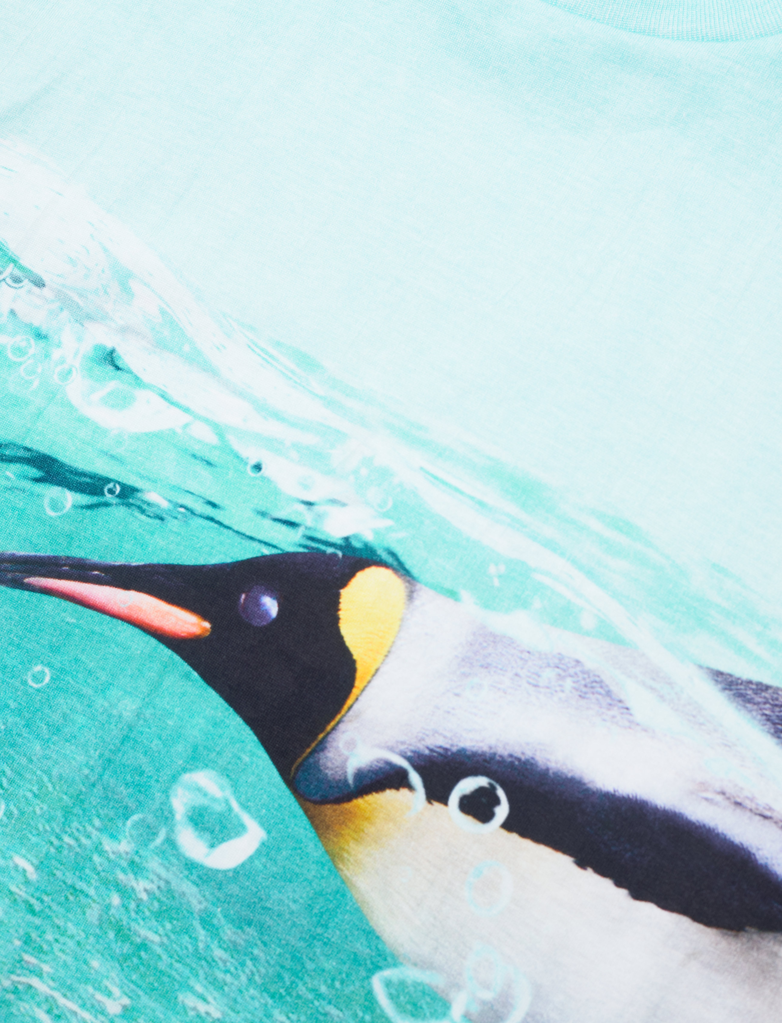 Molo - Raul - the penguin - 2