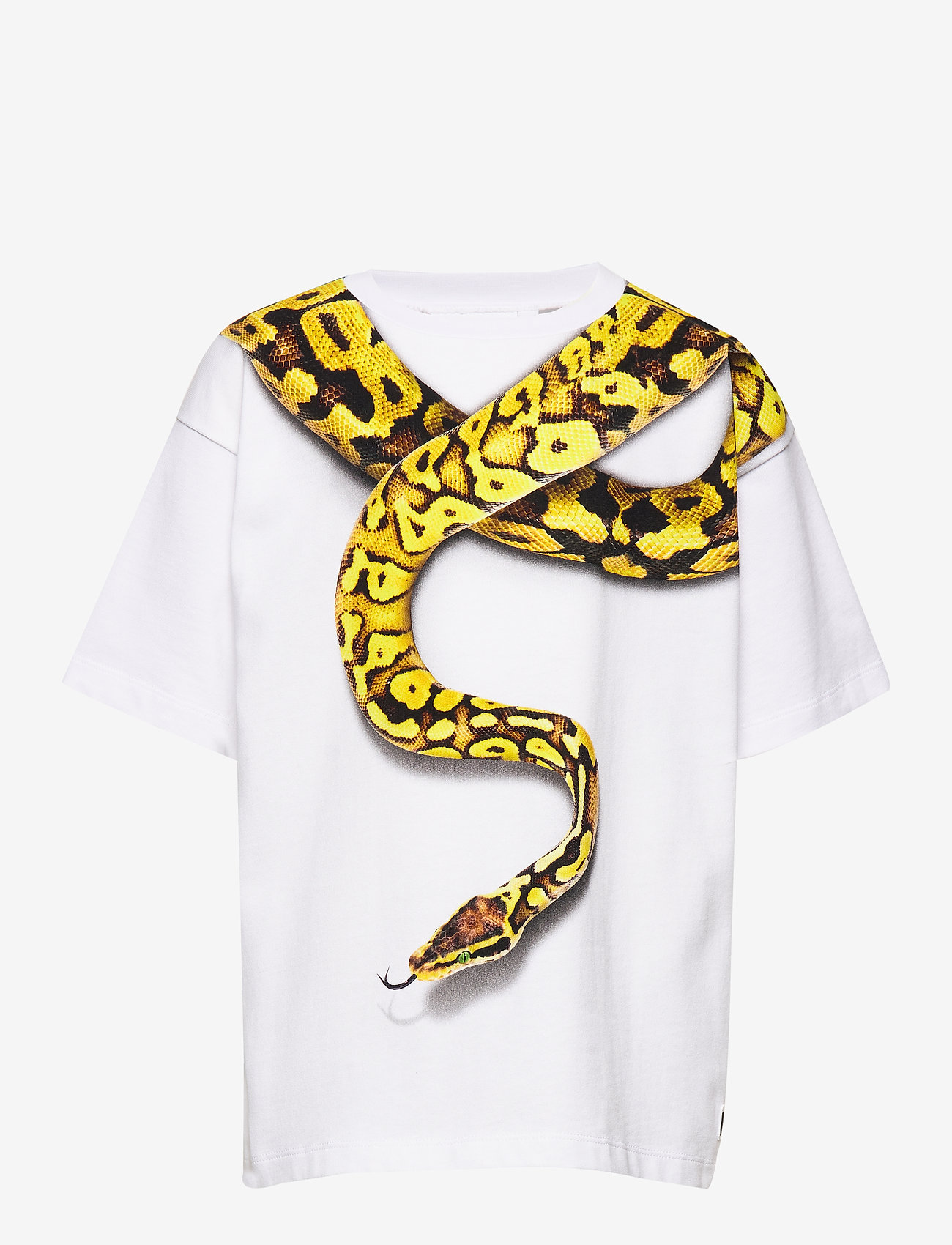 Rillo - SNAKE CHARMER