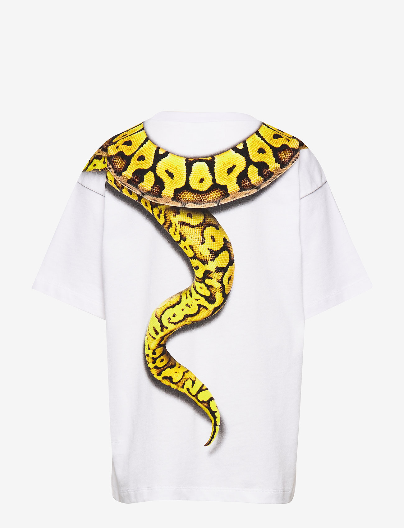 Molo - Rillo - snake charmer - 1