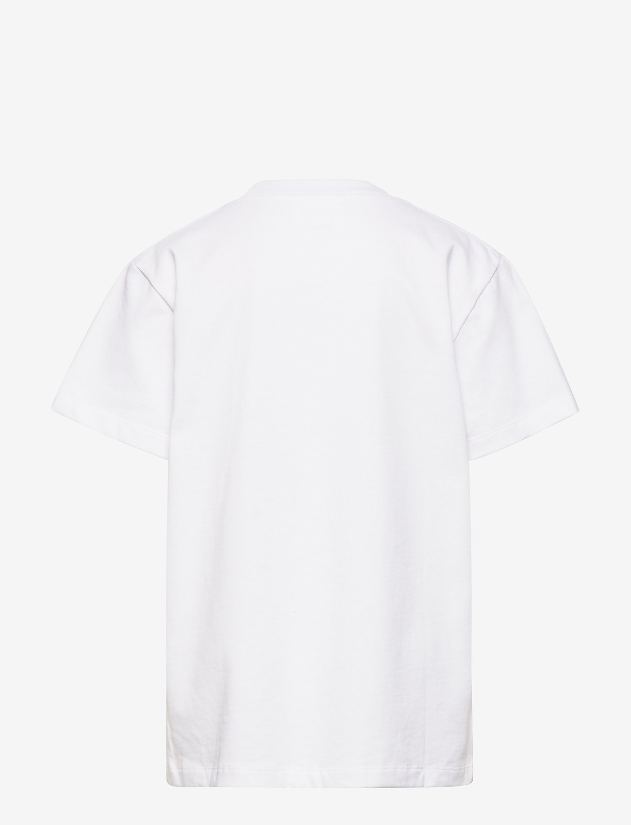 Molo - Roxo - surfboard - 1