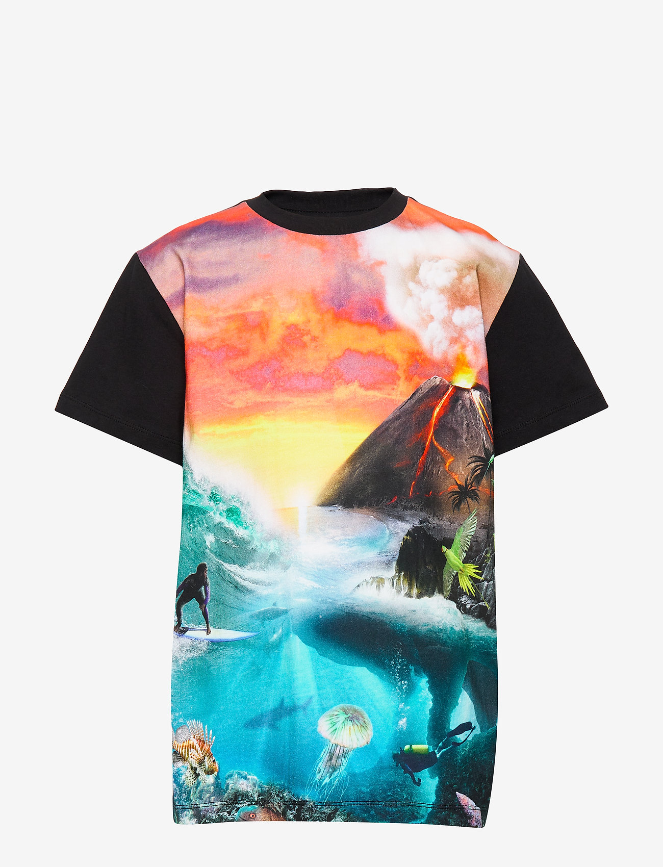 WILD ISLAND
