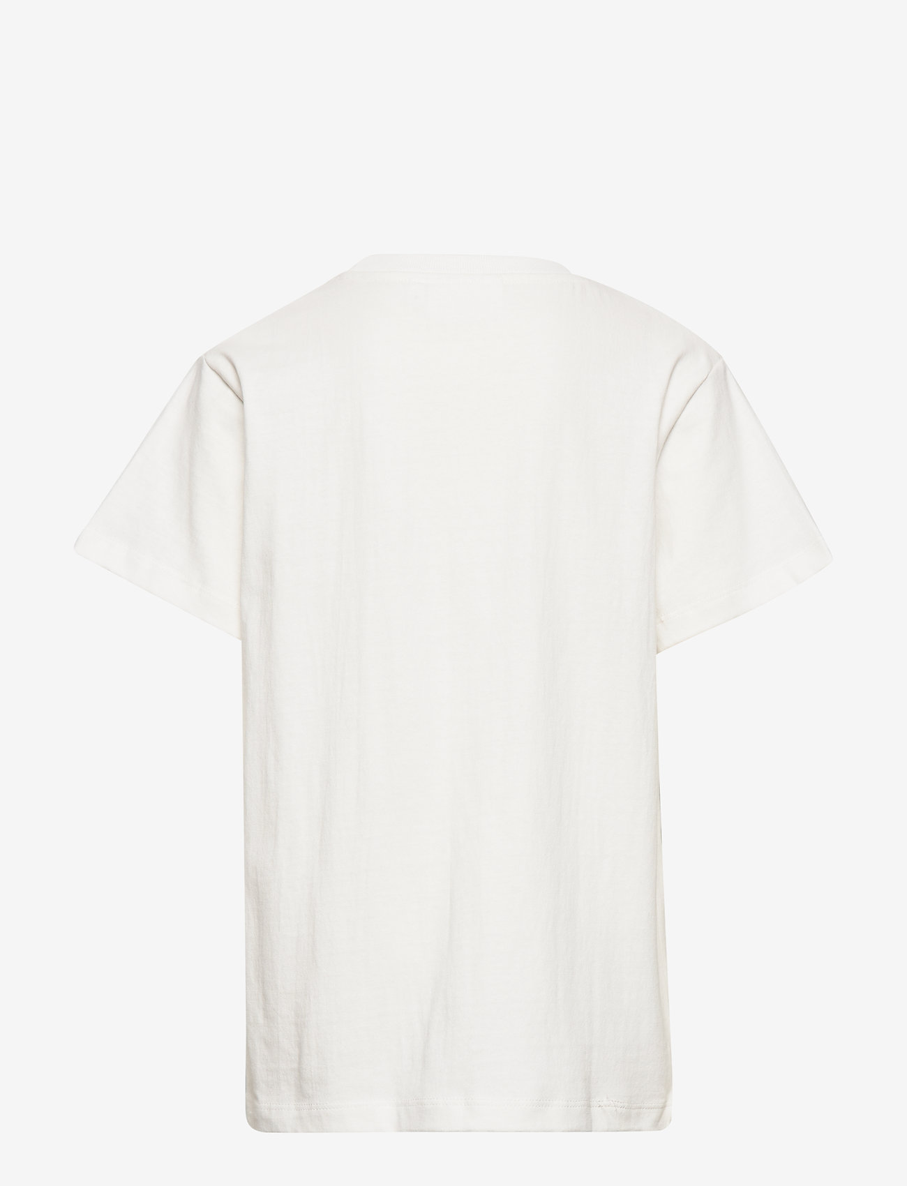 Molo - Roxo - blue surfer - 1