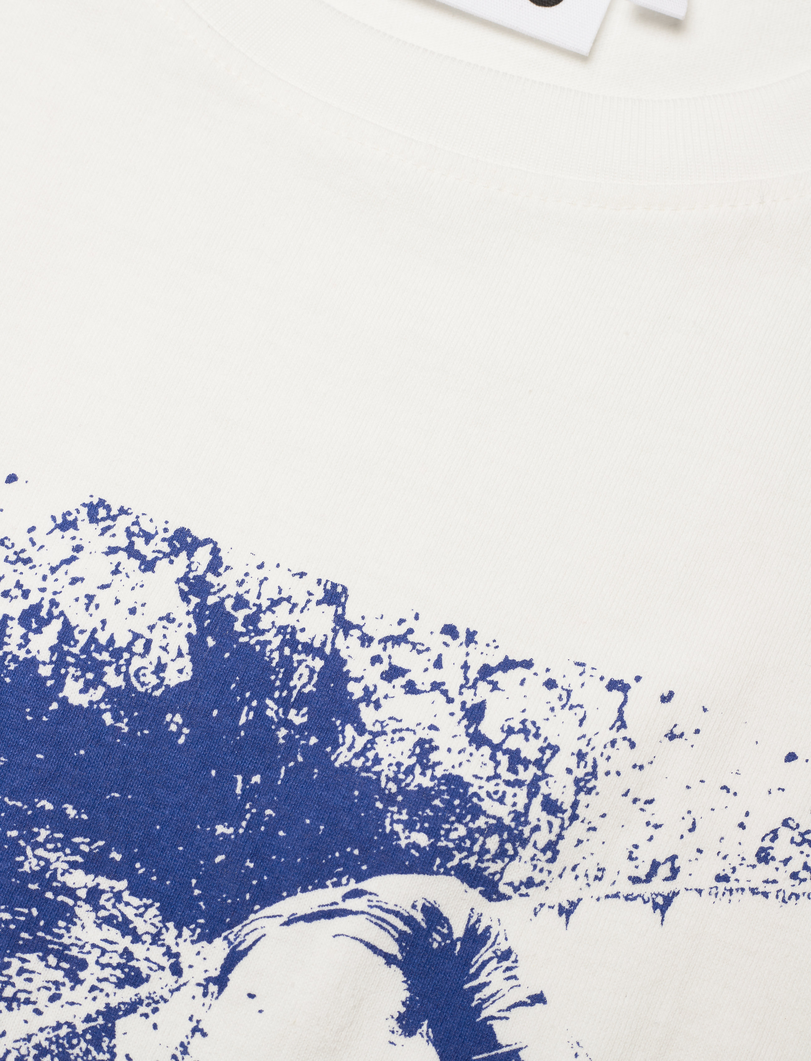 Molo - Roxo - blue surfer - 2