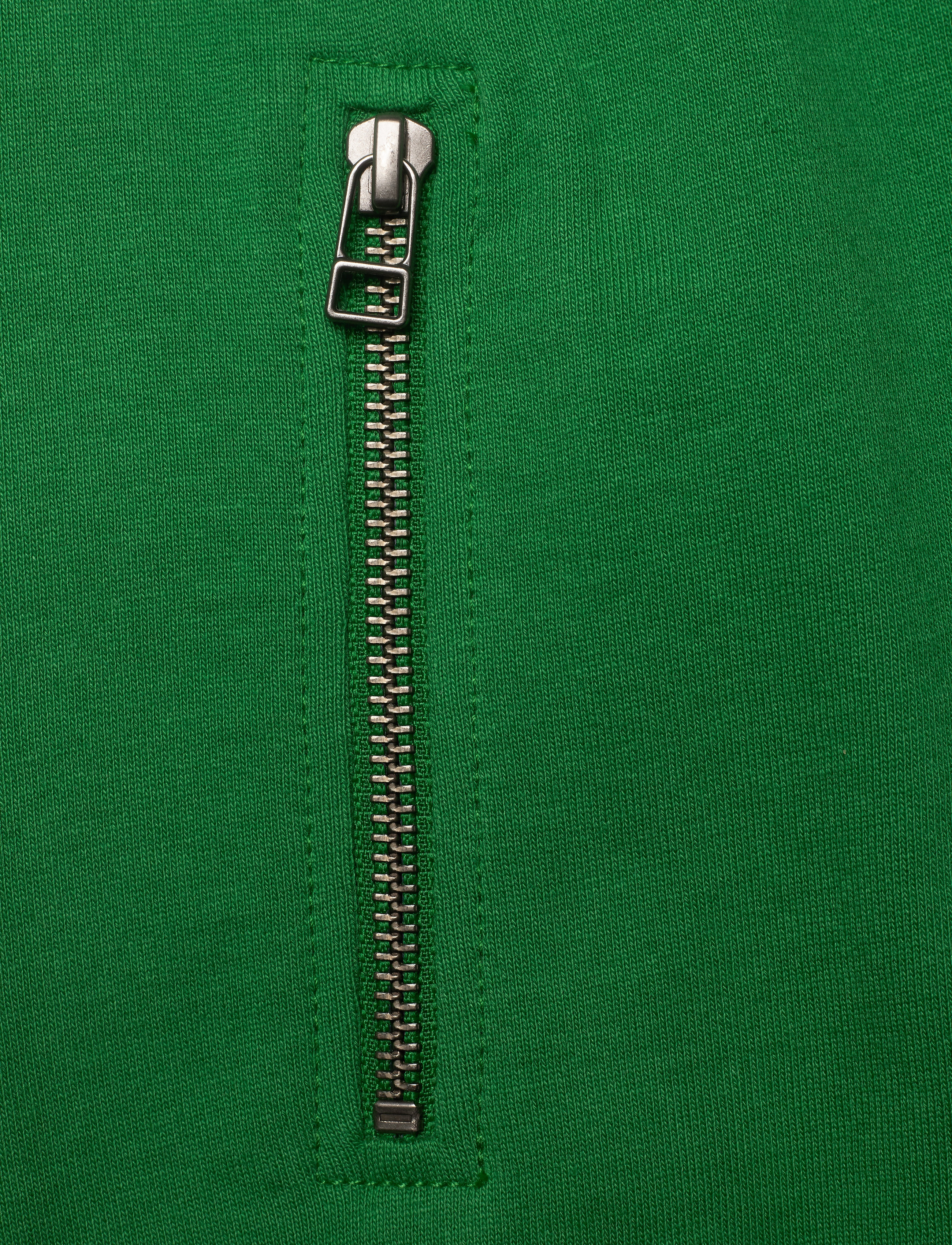 Molo - Ashtonshort - jungle - 2
