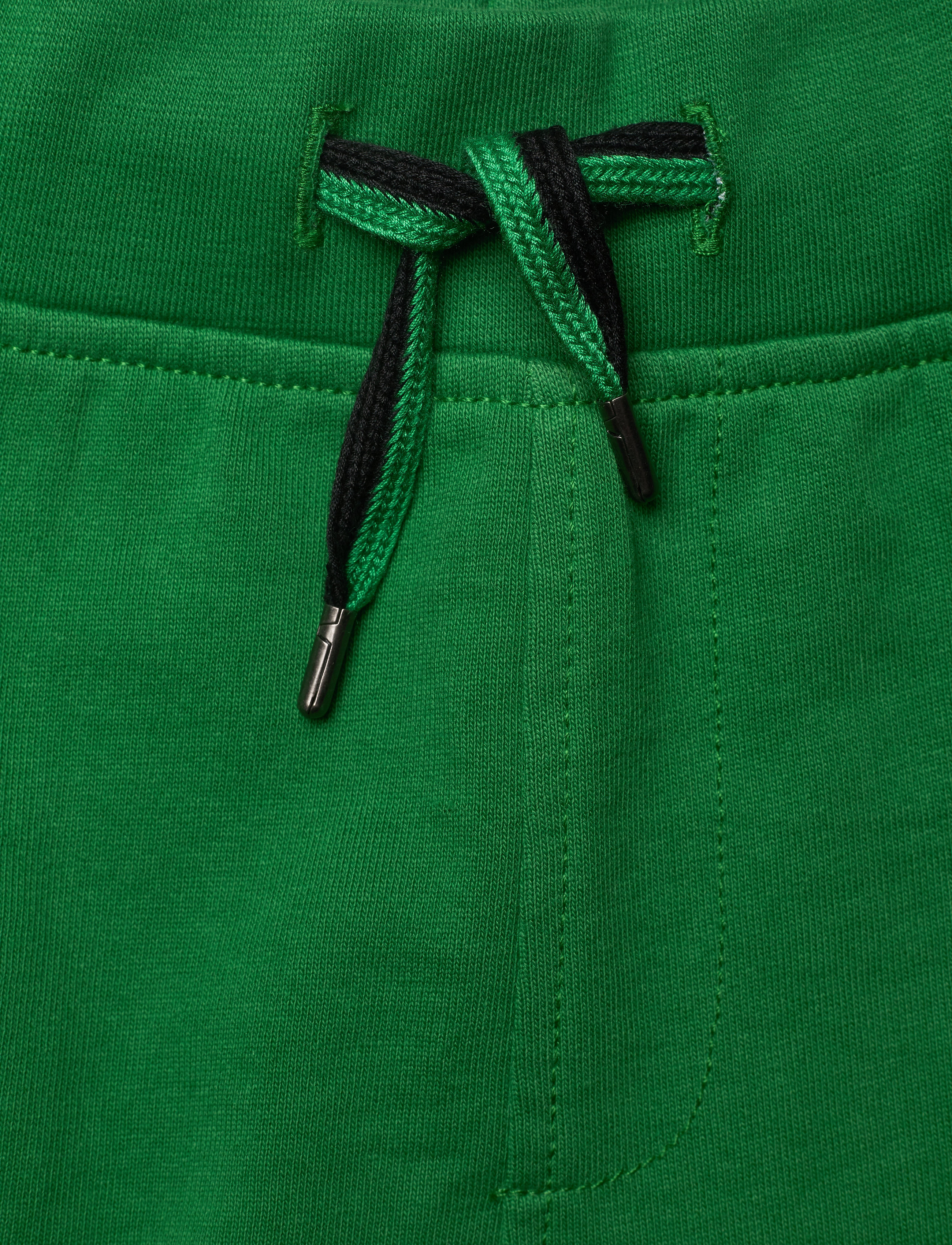 Molo - Ashtonshort - jungle - 3