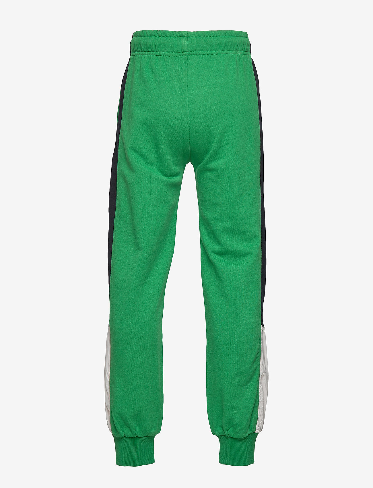 Molo - Awer - jungle - 1