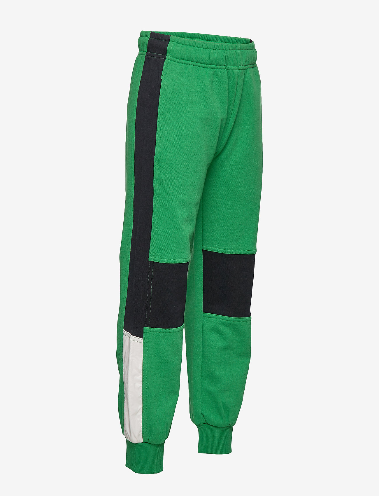 Molo - Awer - jungle - 2