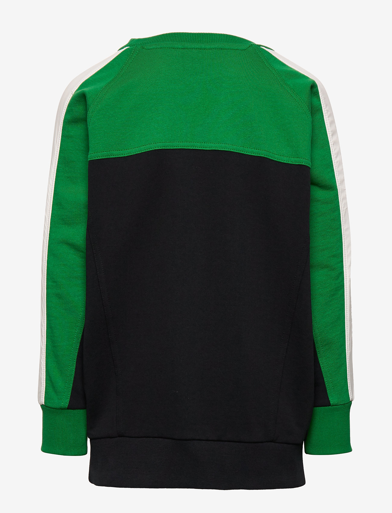 Molo - Miwo - jungle - 2