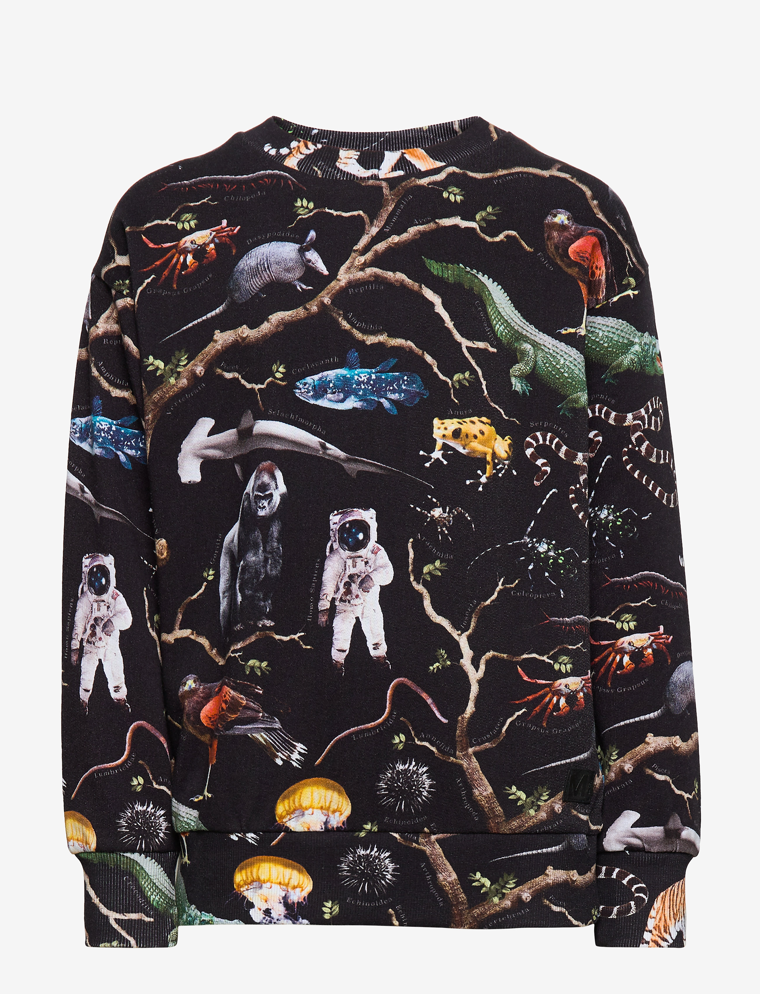 Molo - Mik - tree of life black - 1