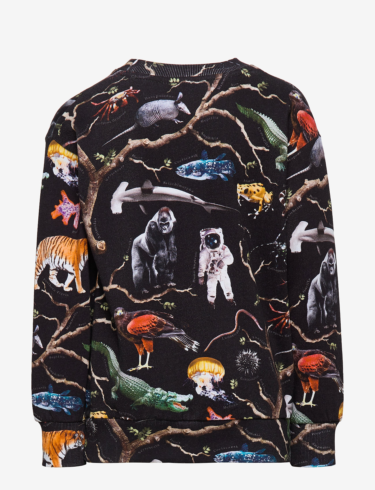 Molo - Mik - tree of life black - 2