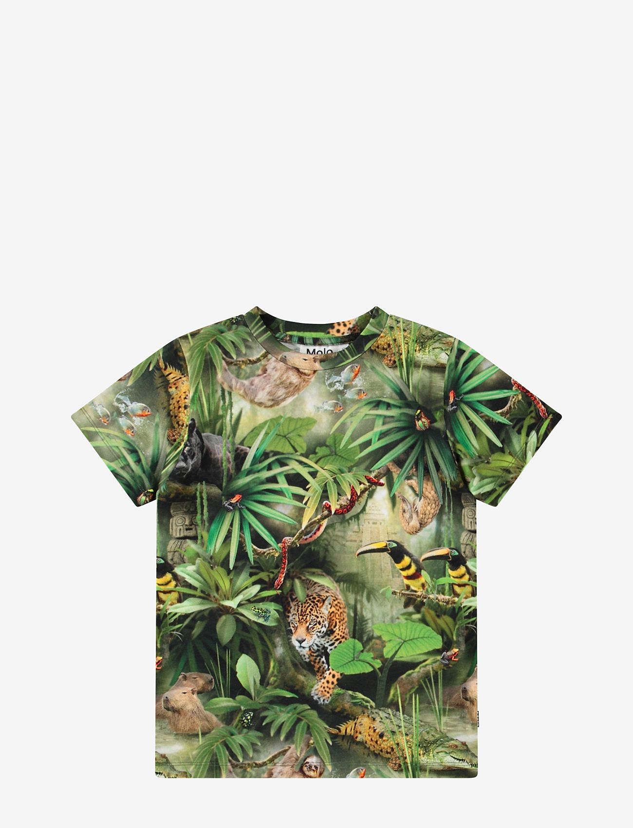 Molo - Ralphie - jungle animals - 0