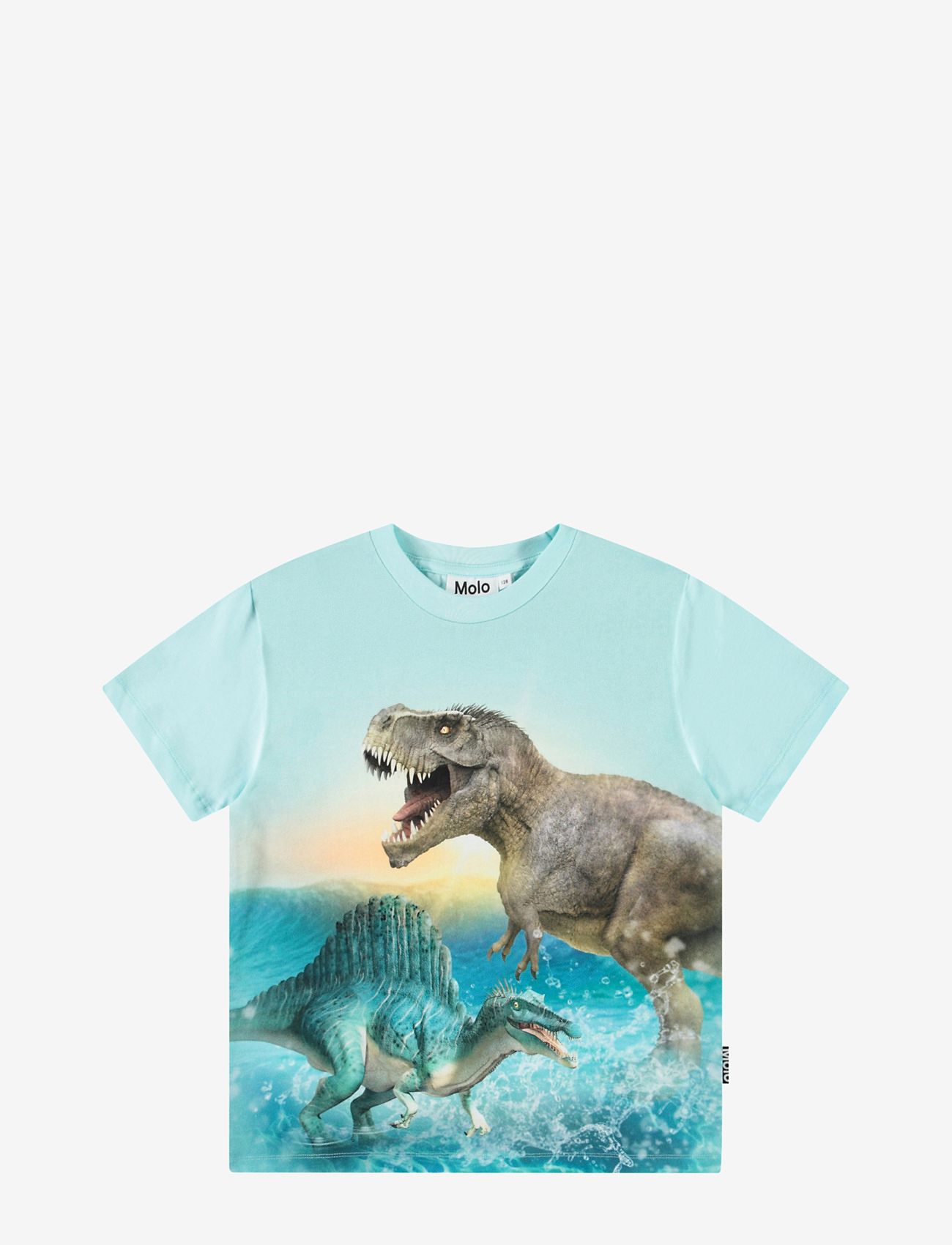 Molo - Roxo - lühikeste varrukatega - dino splash - 0